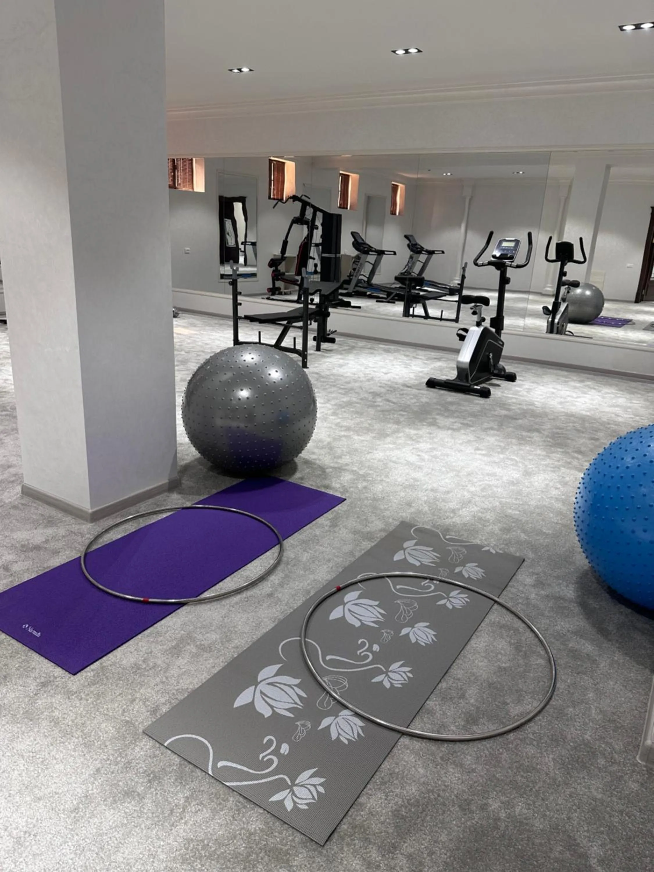 Fitness centre/facilities in Ark Hotel