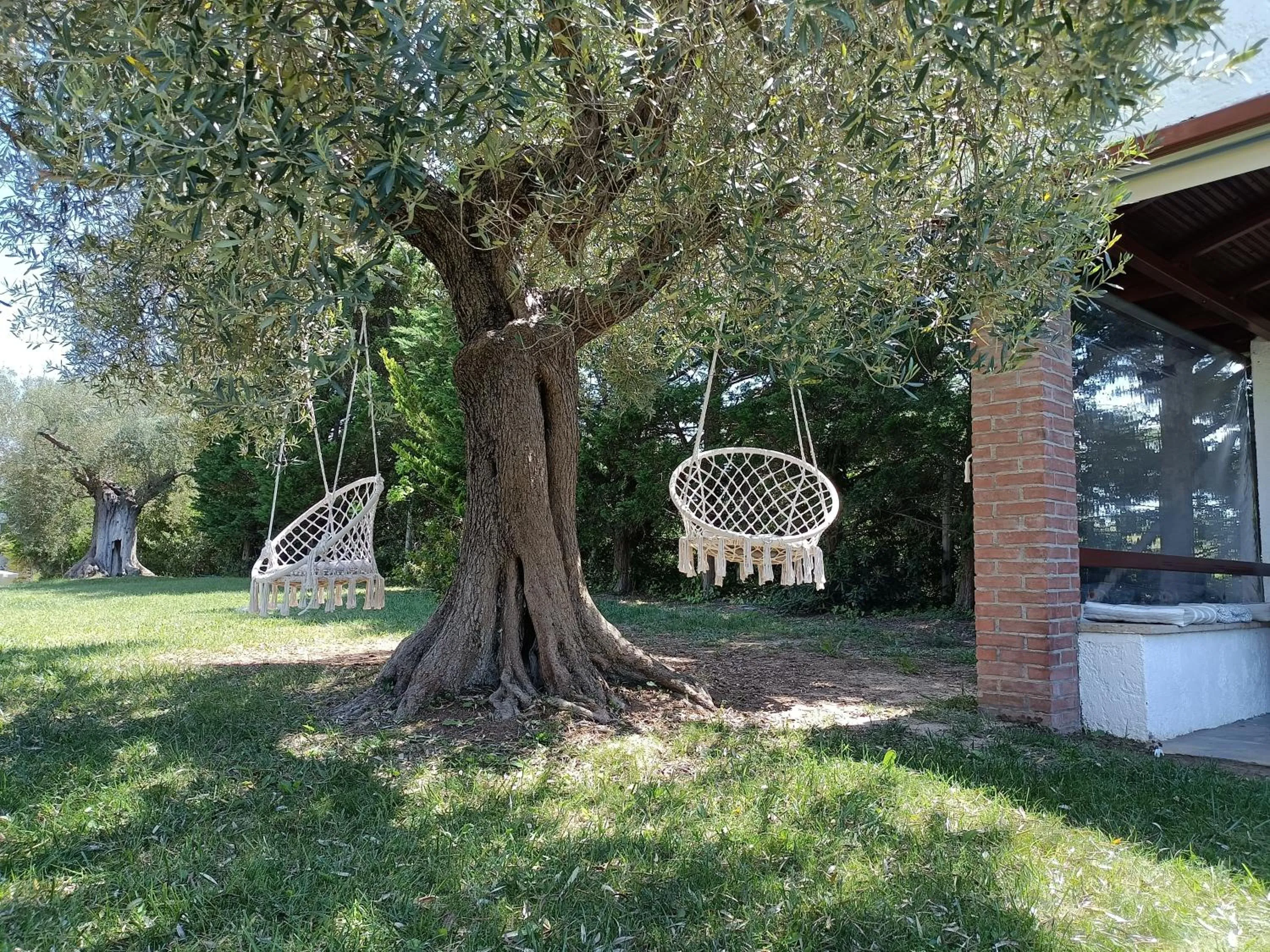 Garden in Marios Garden House