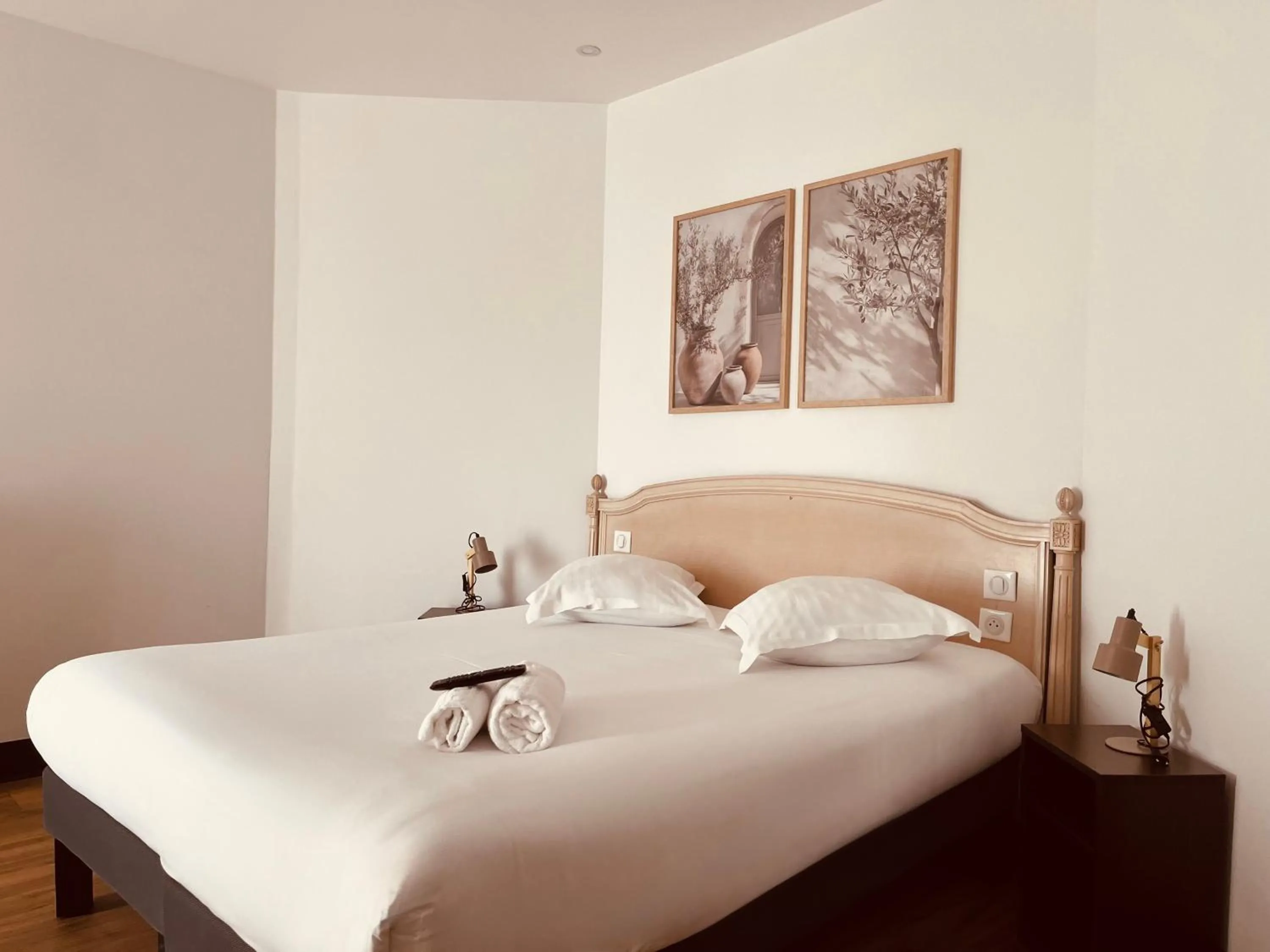 Double Room in Hôtel de la paix