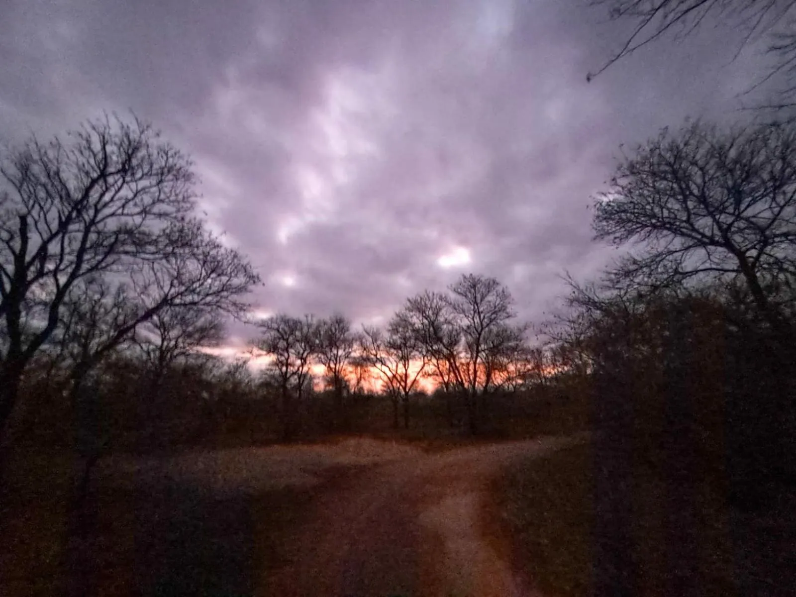 Natural landscape in Jackalberry Ridge by Dream Resorts