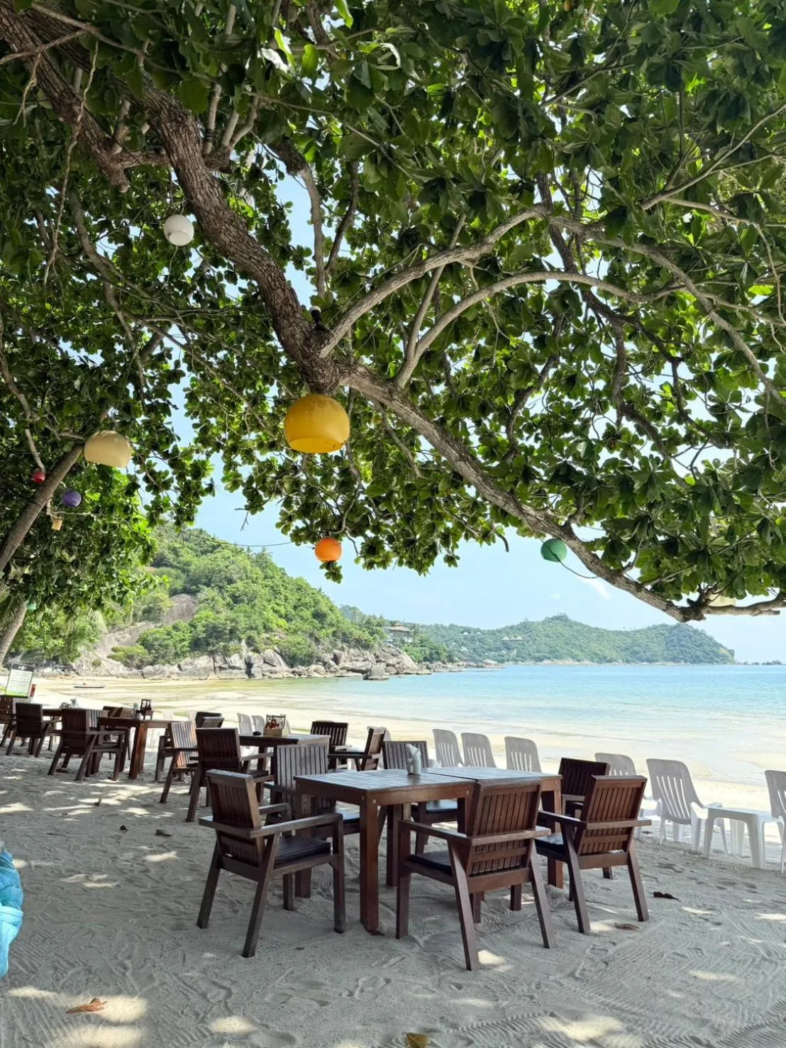 Restaurant/places to eat in Dreamland Resort