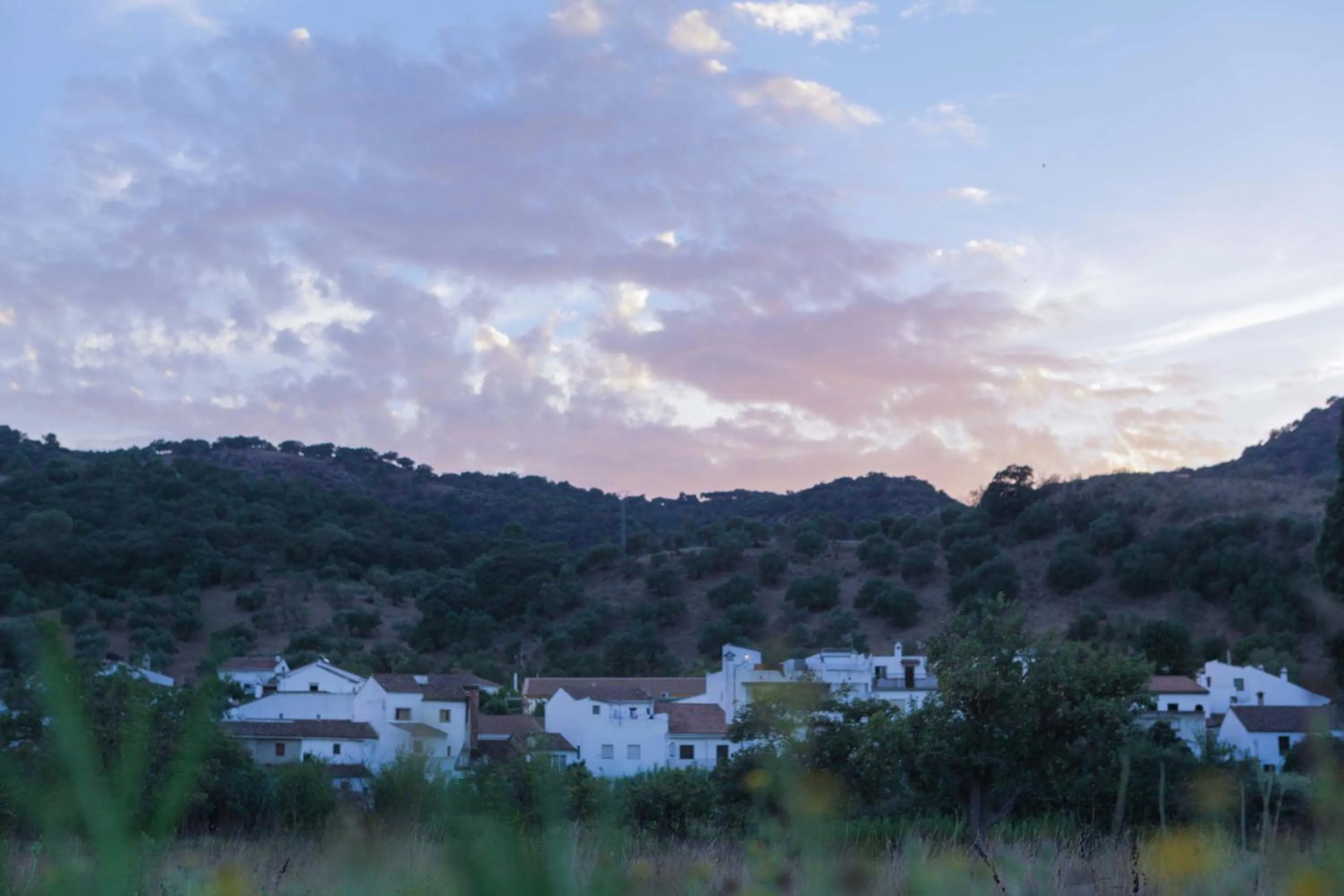Neighbourhood in Finca La Rana Verde