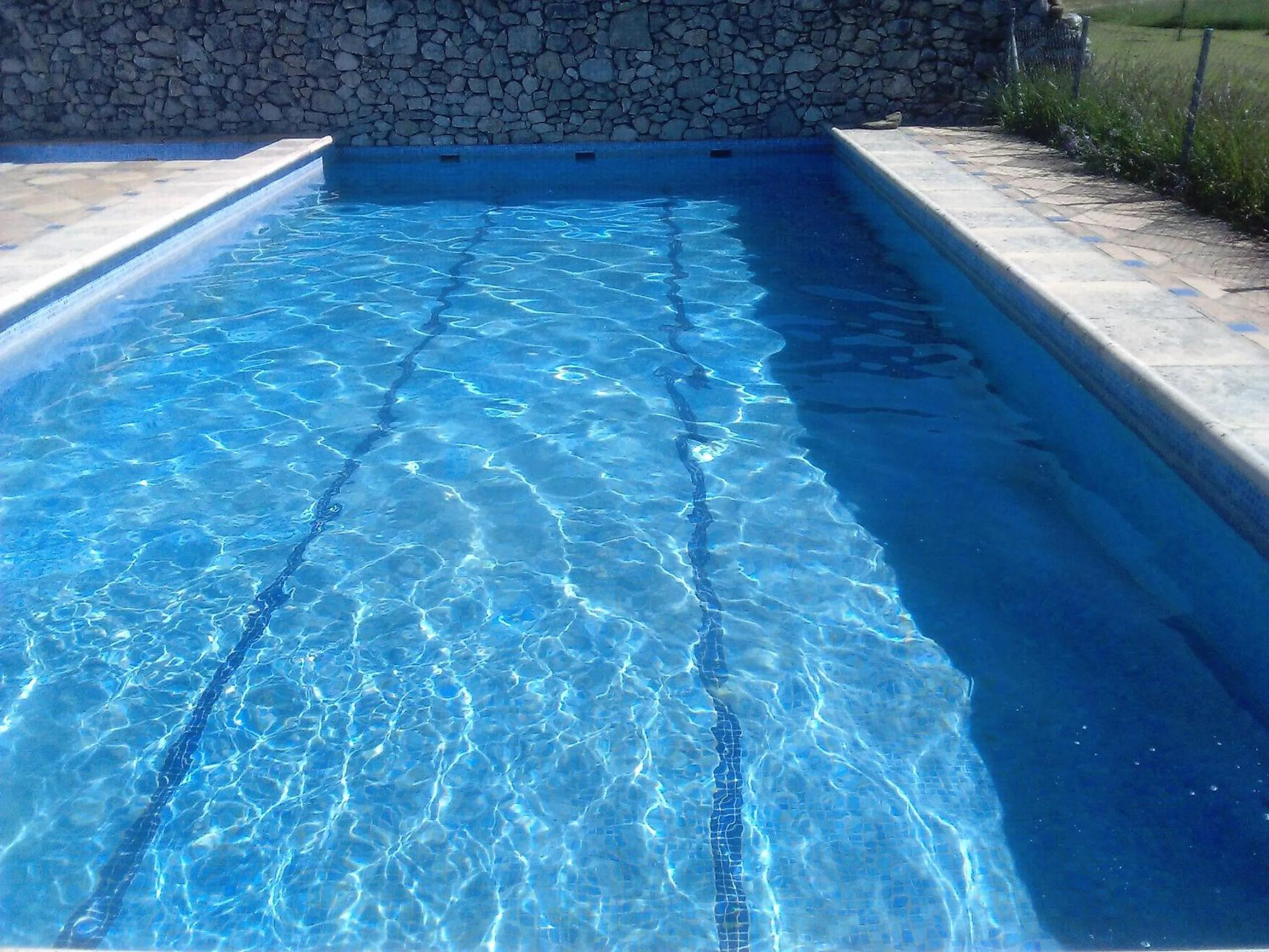 Swimming pool in Finca La Rana Verde