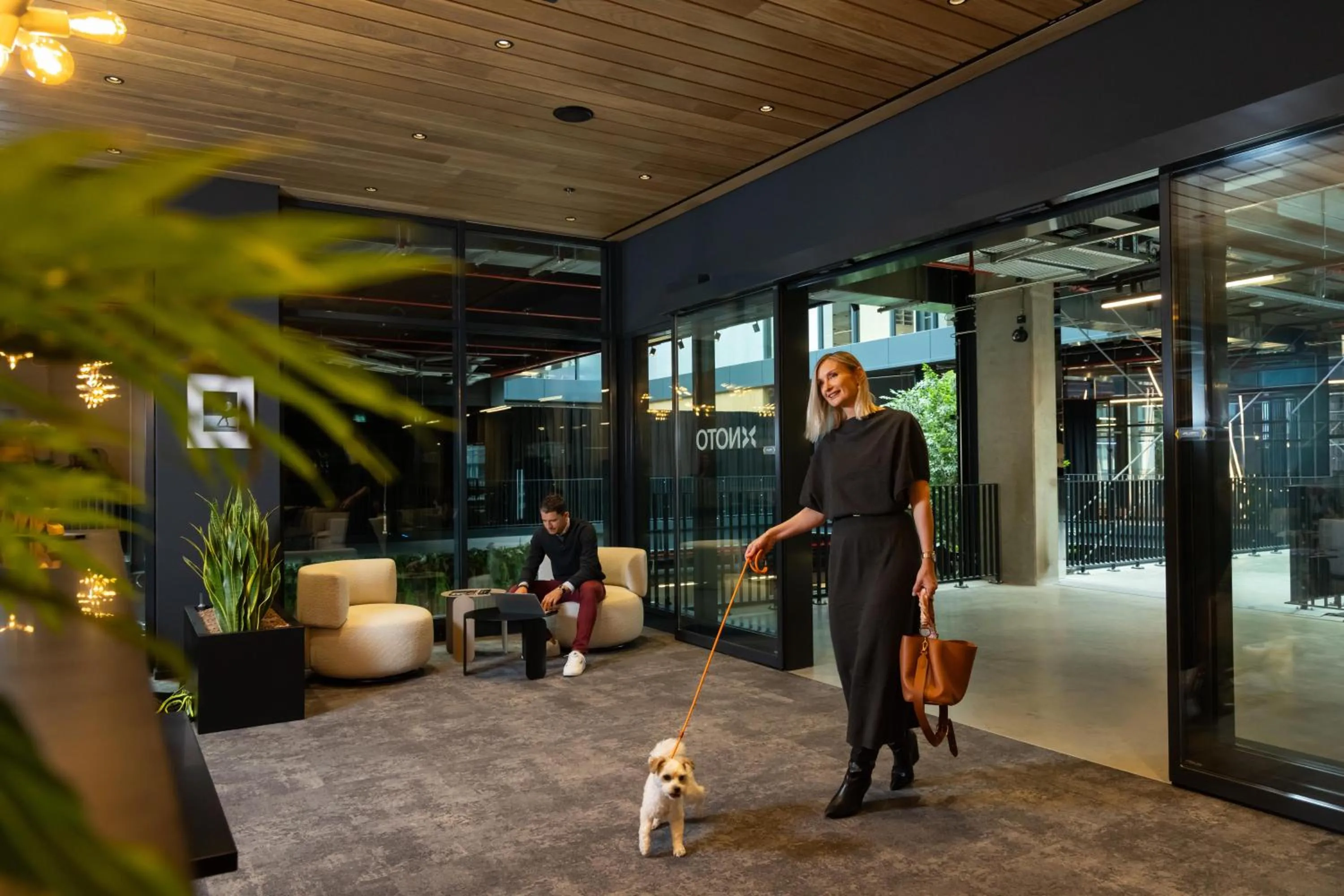 pet friendly in NOTO Hotel