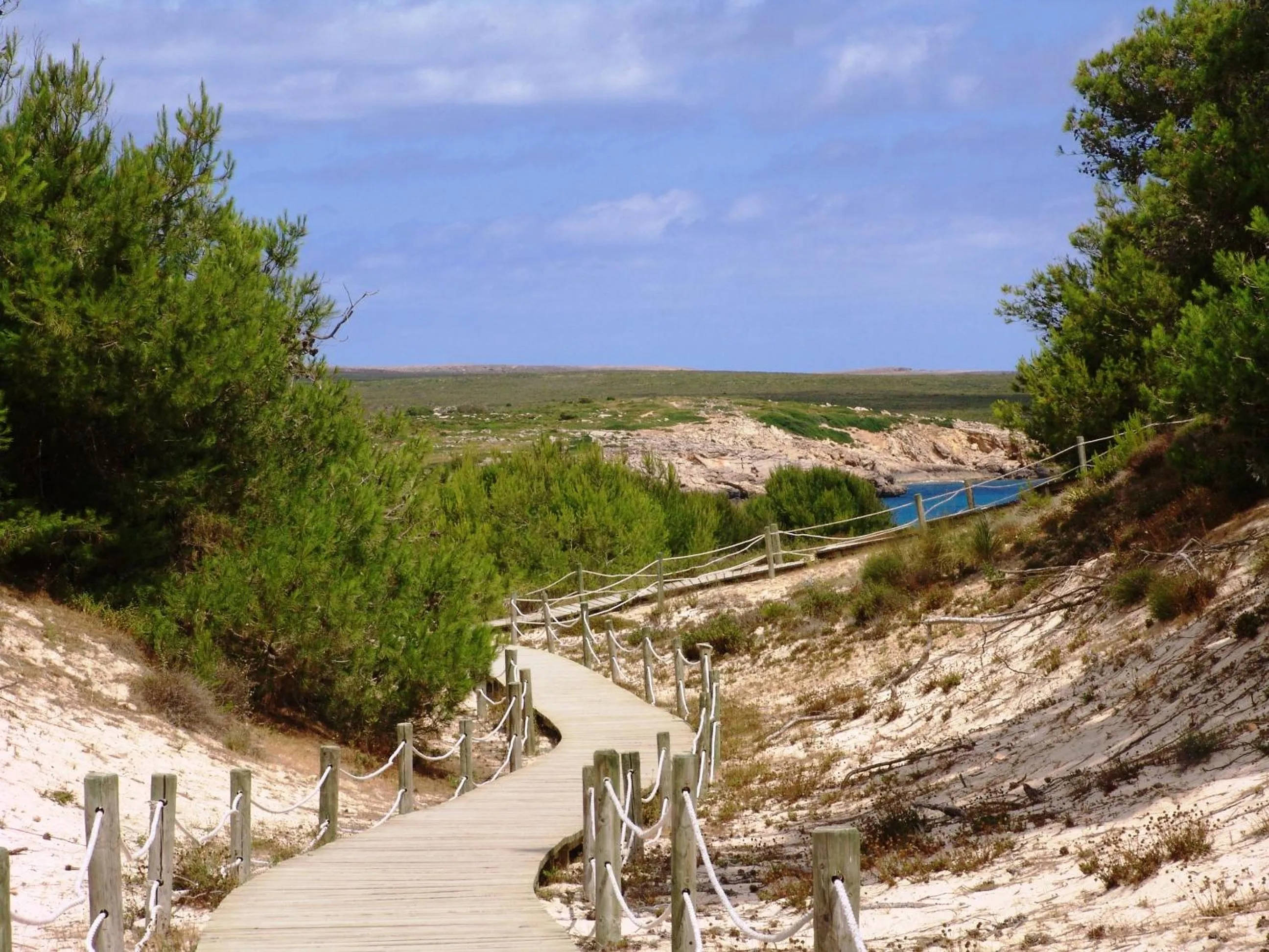 Natural landscape in Apartamentos Posidonia