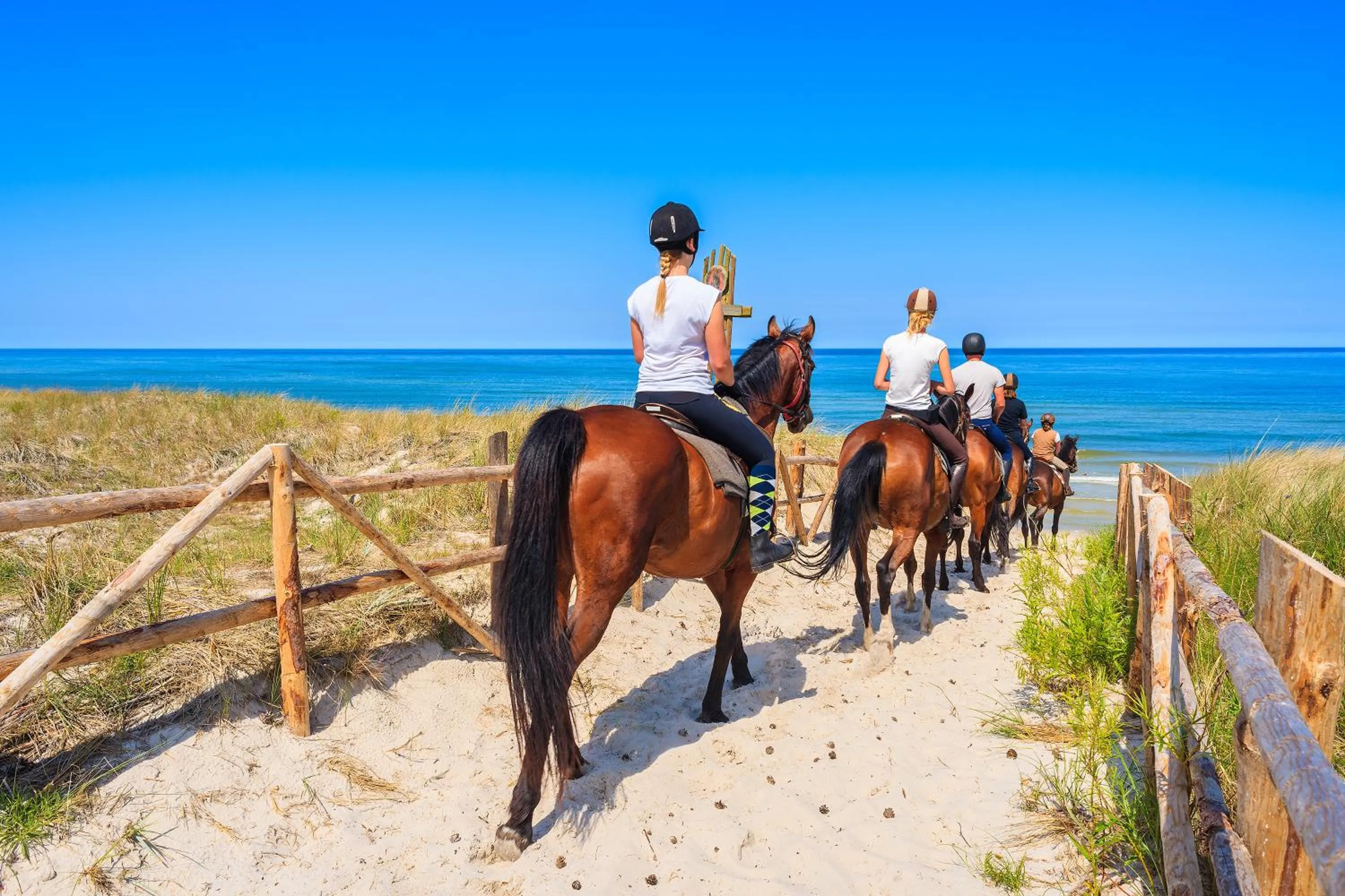 Horse-riding in Apartamentos Posidonia