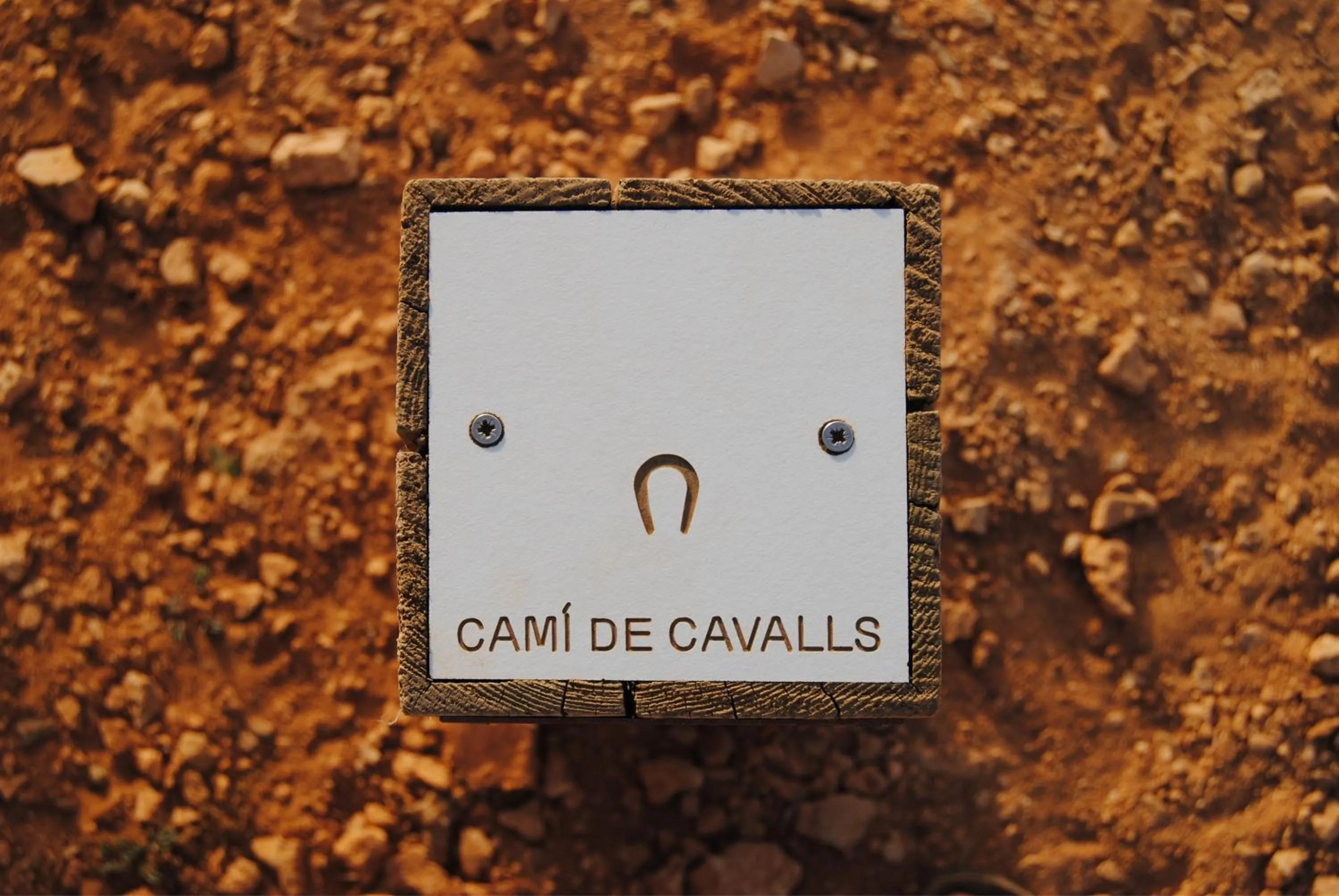 Hiking in Apartamentos Posidonia