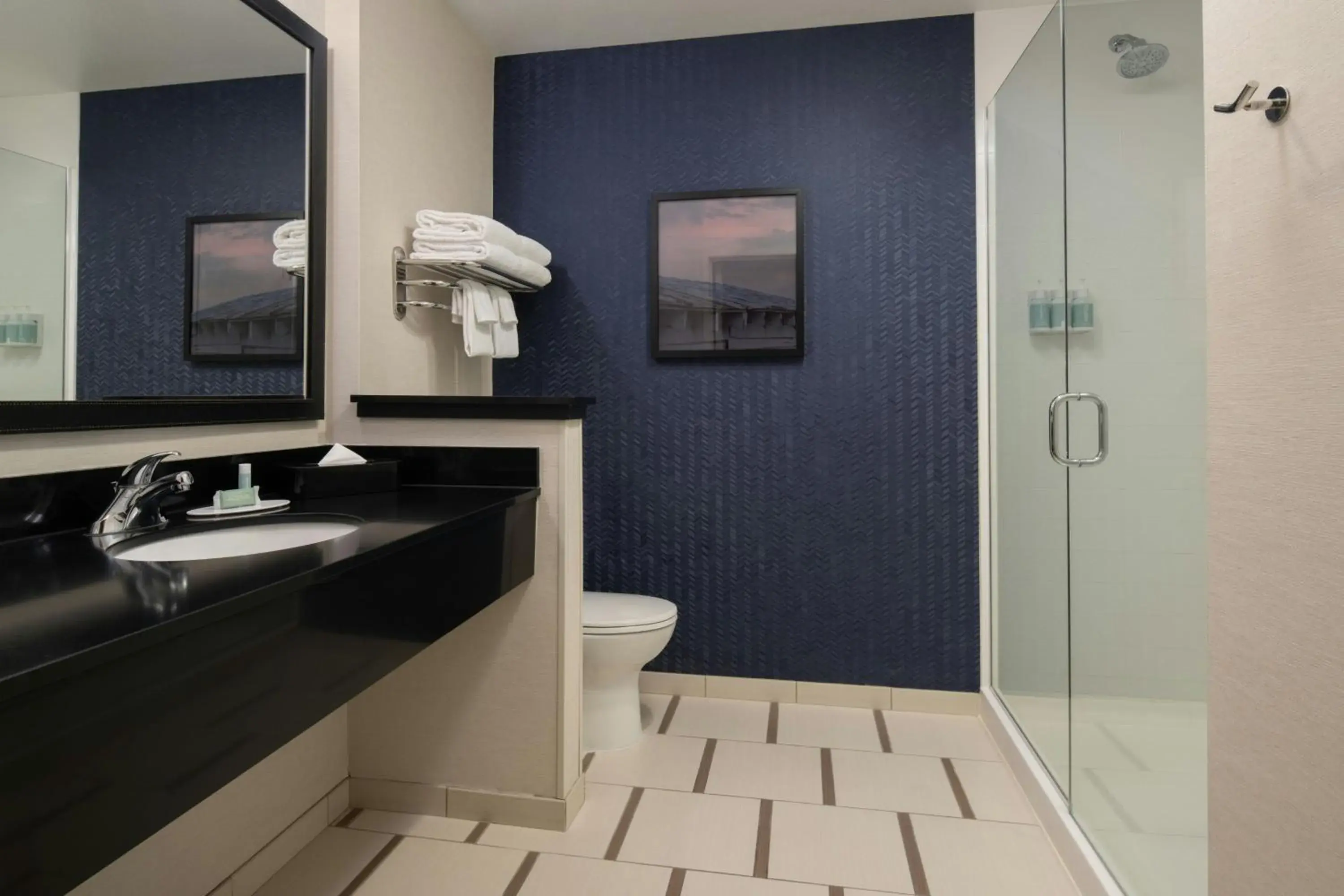 King Suite in Fairfield Inn & Suites by Marriott Santa Cruz King Suite in Fairfield Inn & Suites by Marriott Santa Cruz