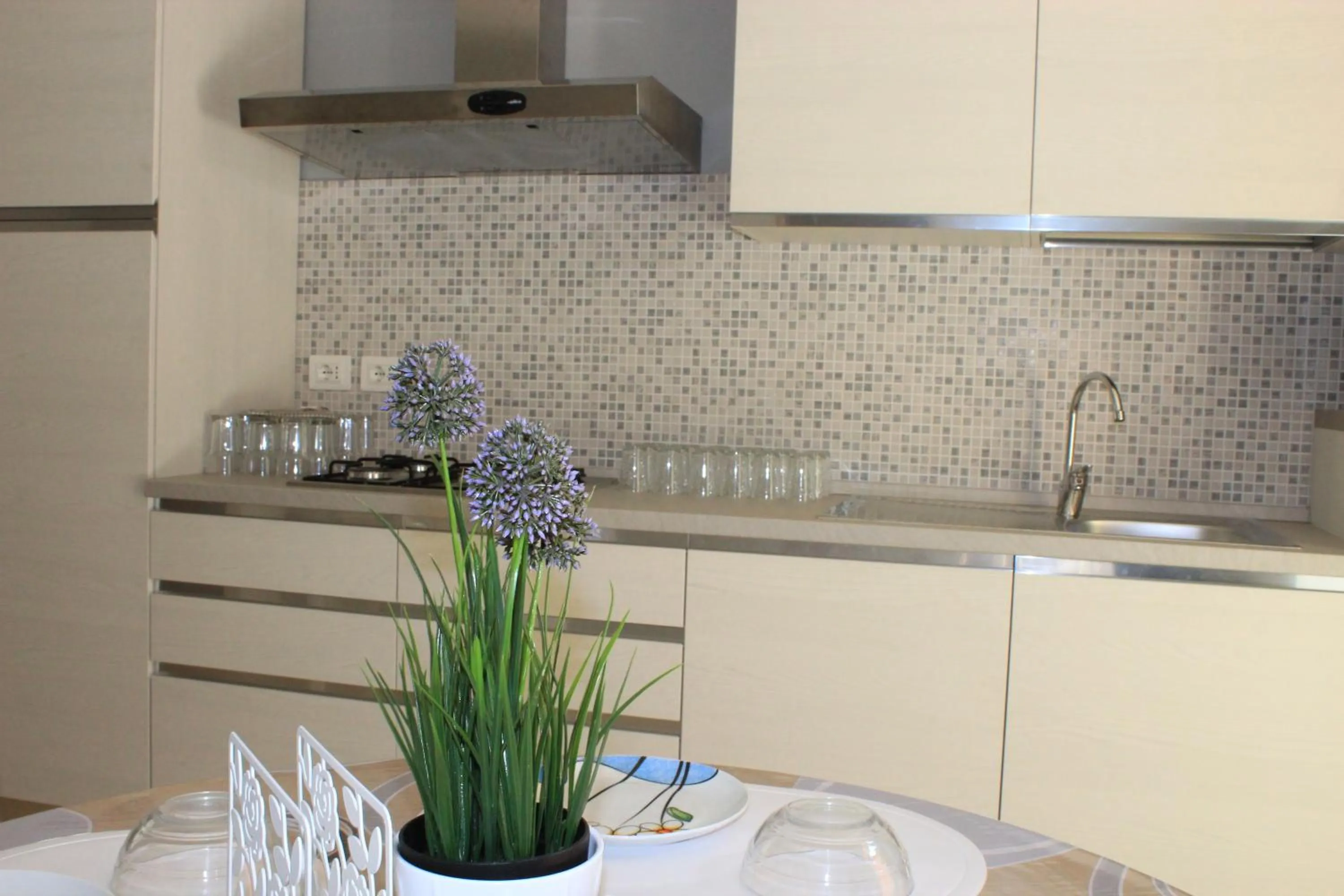 Communal kitchen in Residenza La Vecchia Vigna