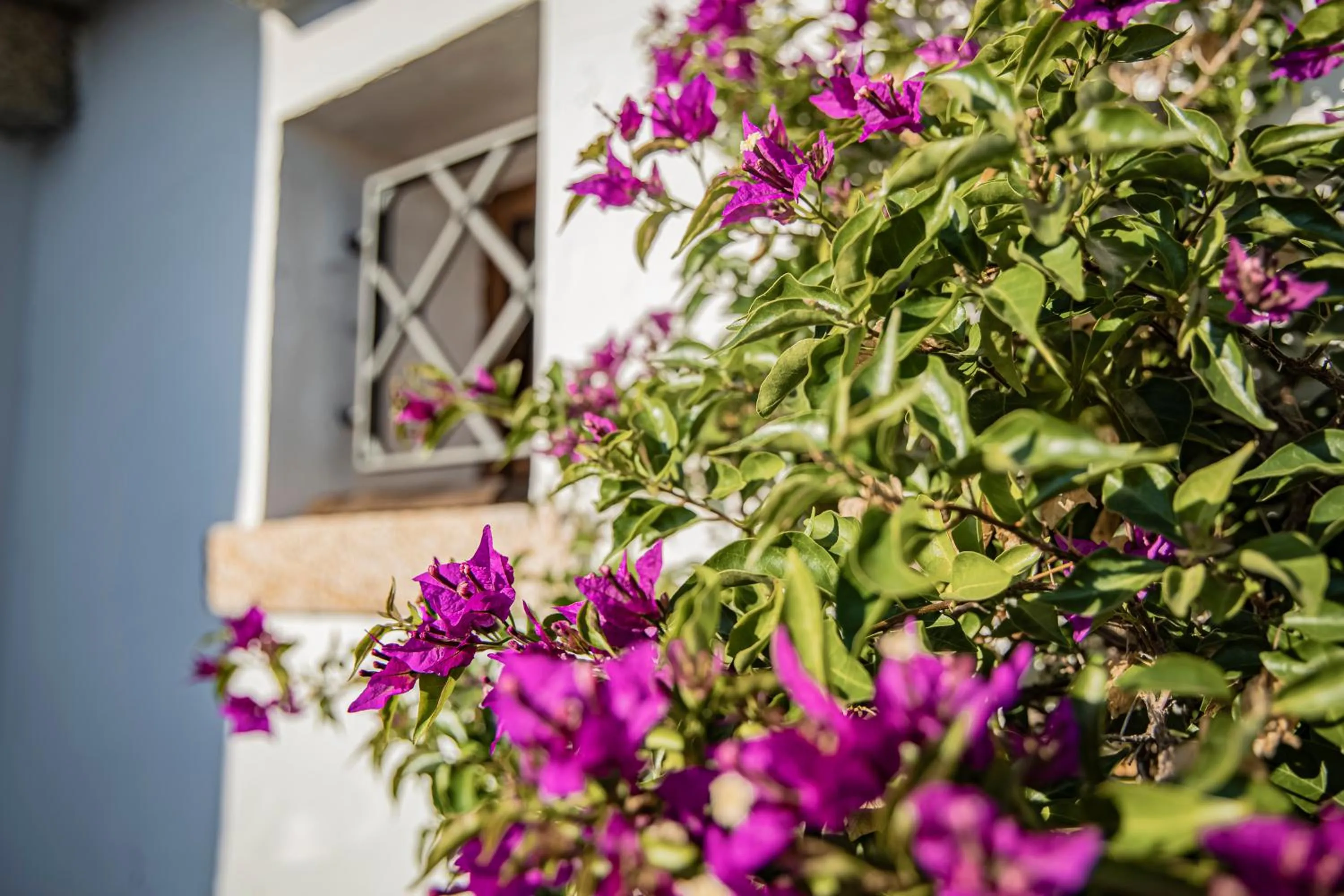 Property building in Dolce Luna