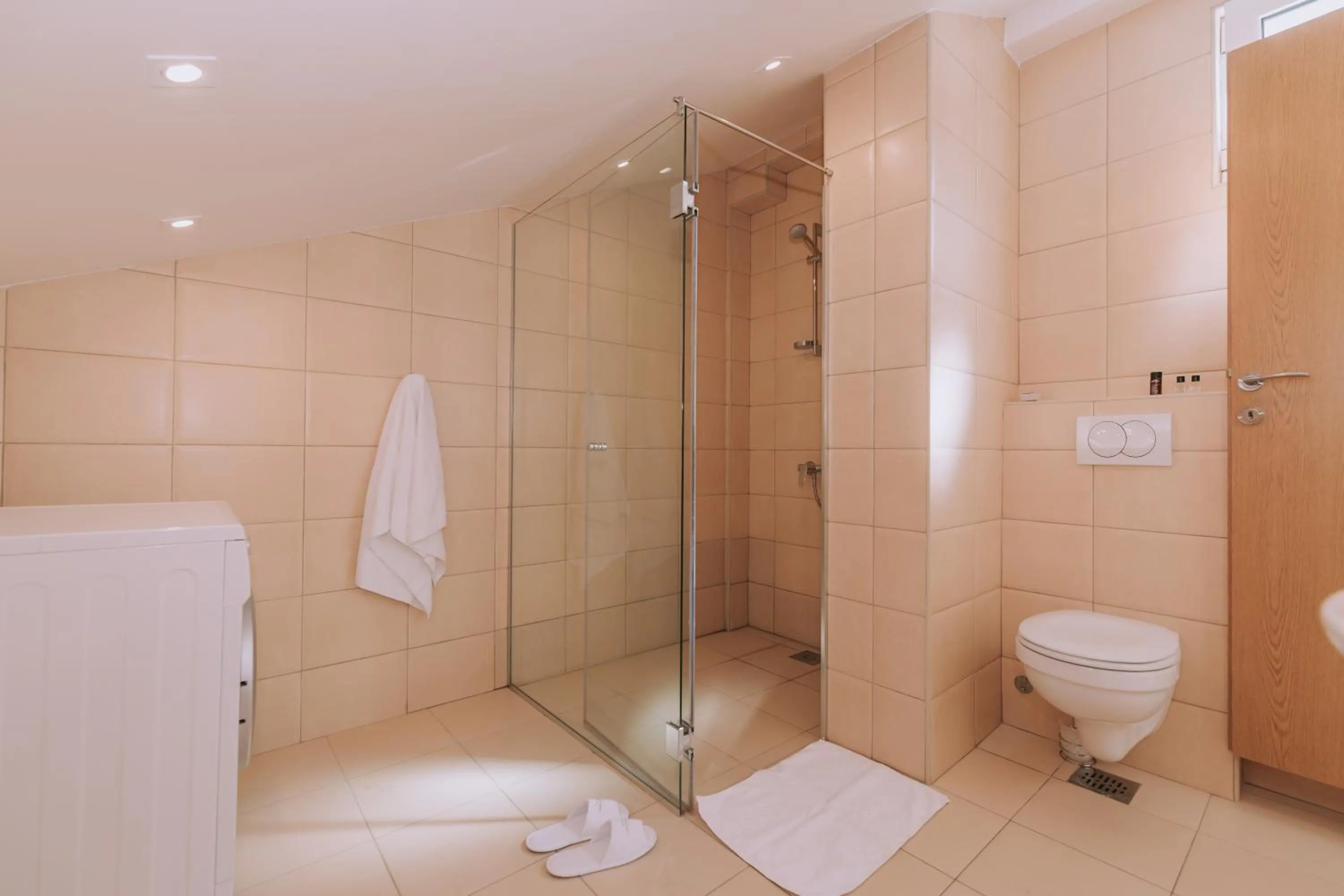 Shower in City Apartments