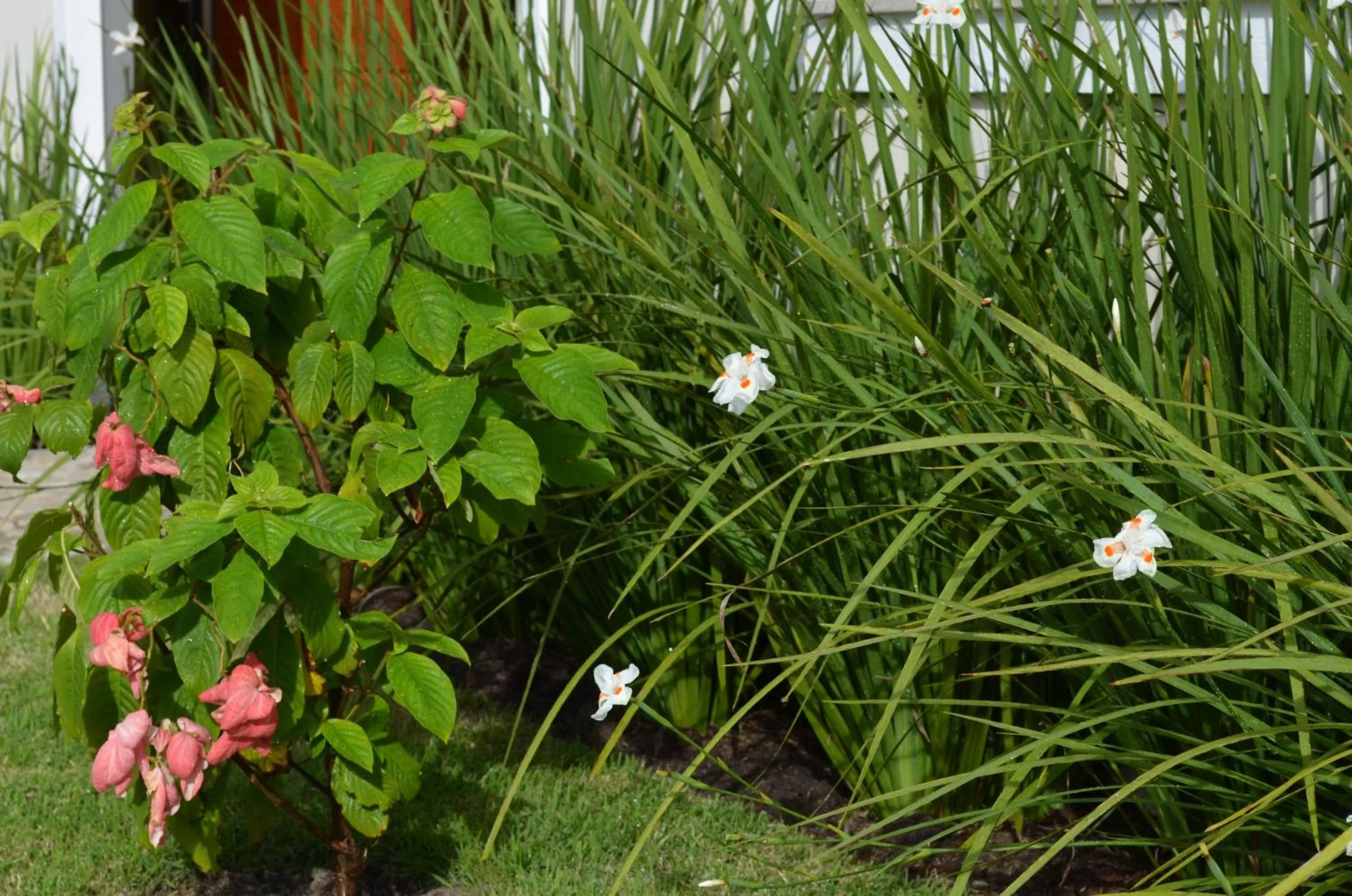 Garden in Residencial Portinari LTDA