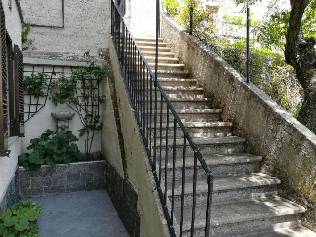 Garden in Residence Belvedere