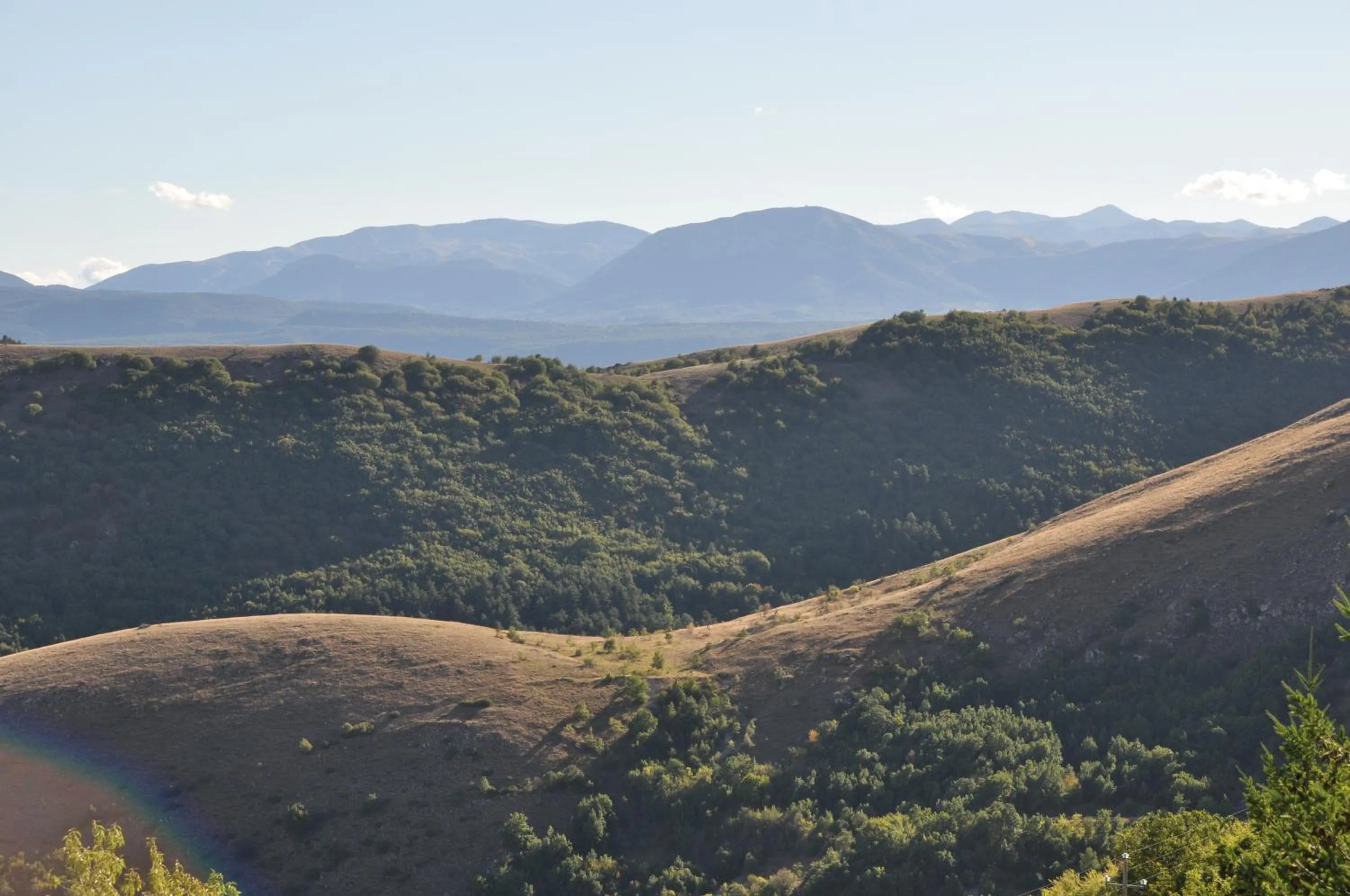 Spring in Residence Belvedere