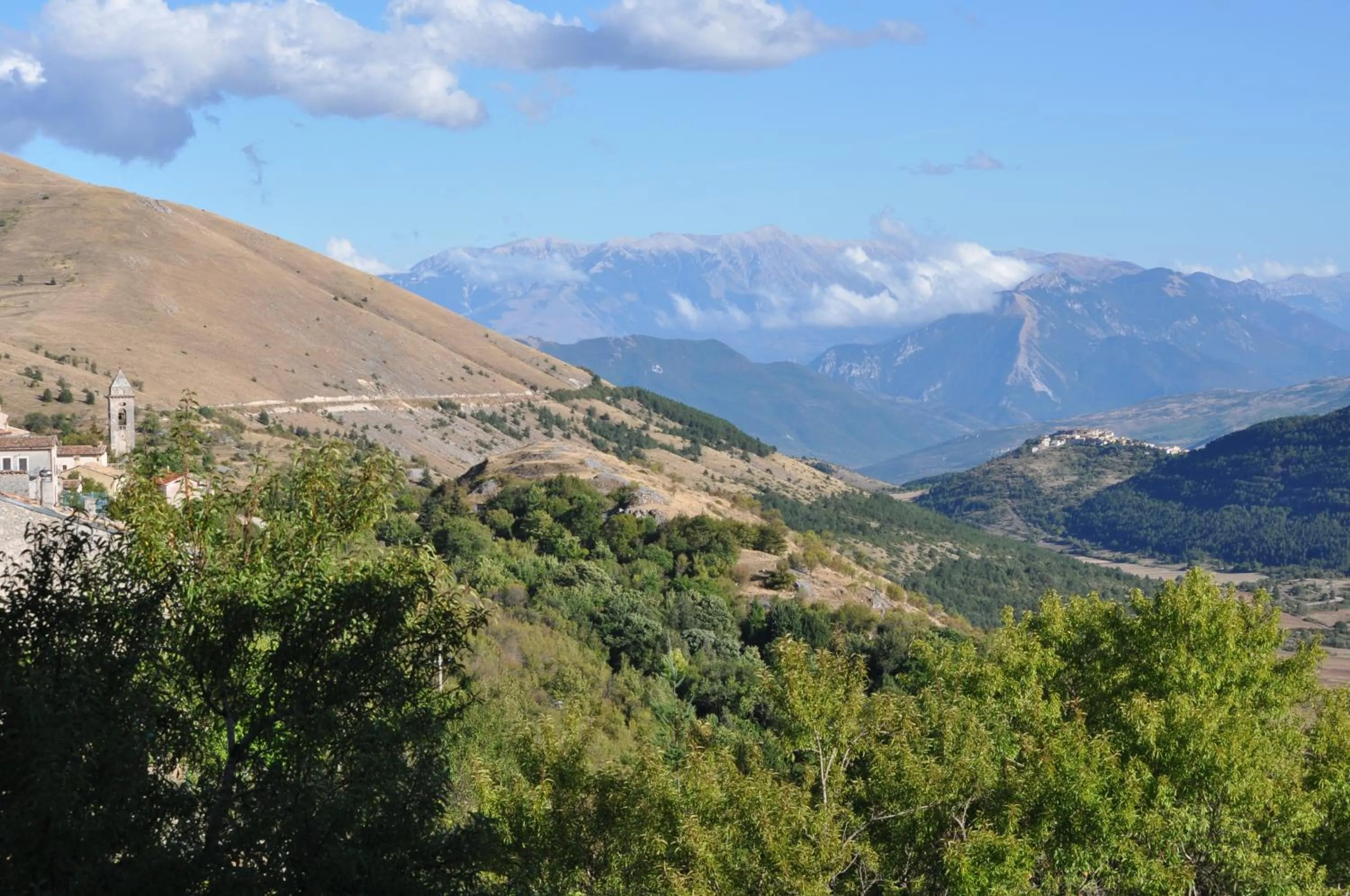 Summer in Residence Belvedere