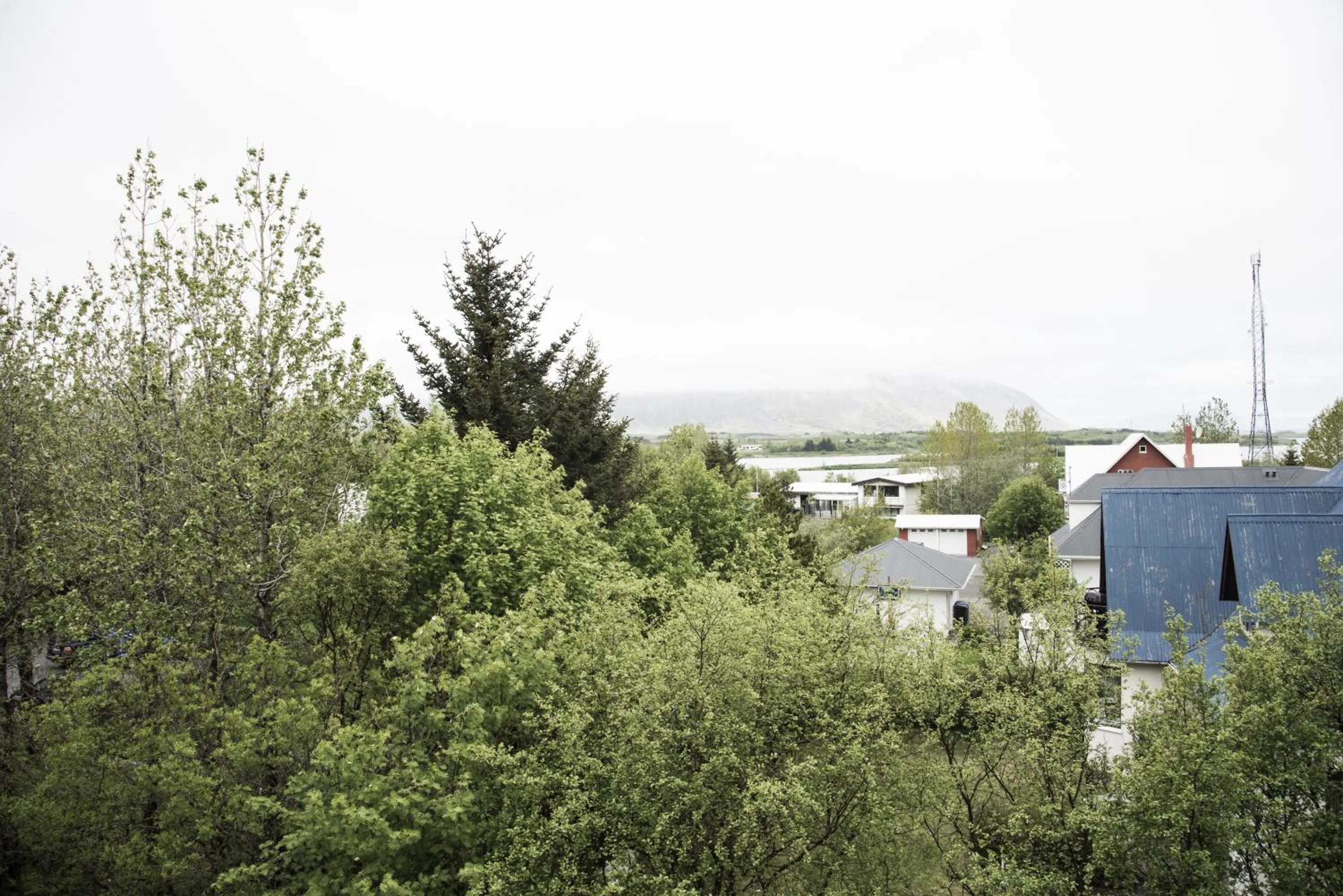 Garden view in Bella Apartments & Rooms