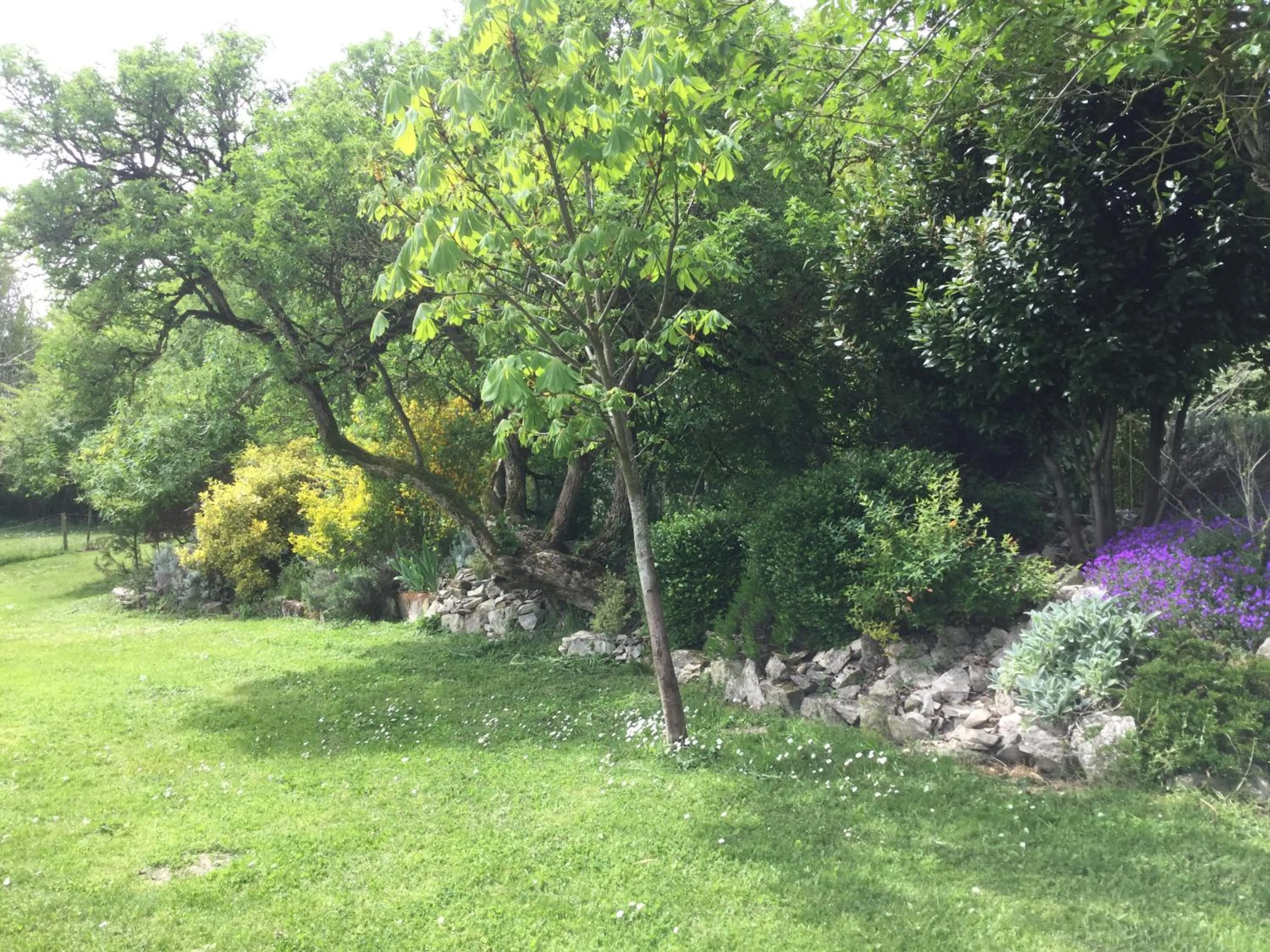 Garden in Le Noisetier at Les Hiboux Gites