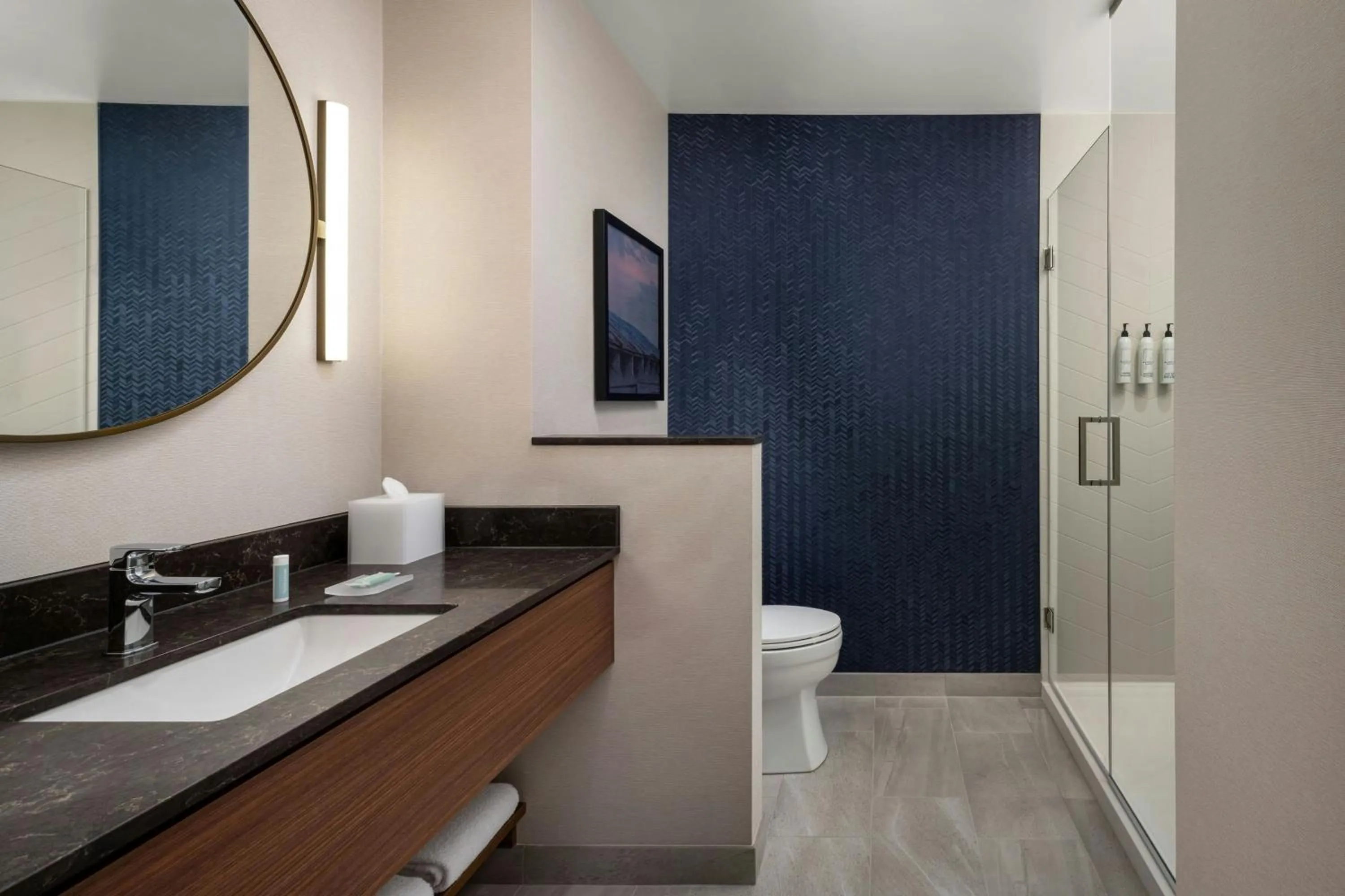 Bathroom in Fairfield Inn & Suites by Marriott Chilliwack