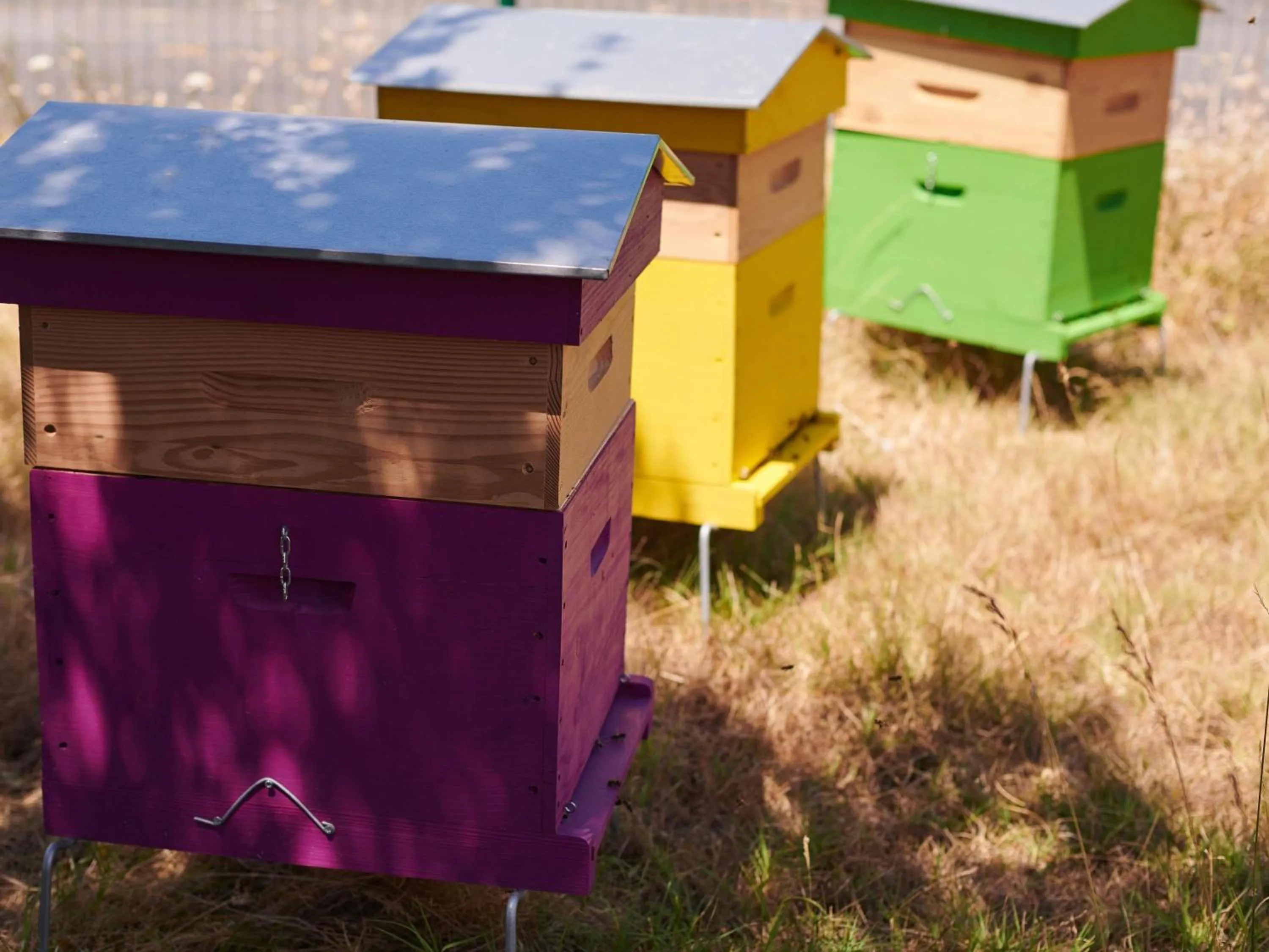 Restaurant/places to eat in Greet Hôtel Saint-Nazaire Trignac Nouvelle Marque du Groupe Accor