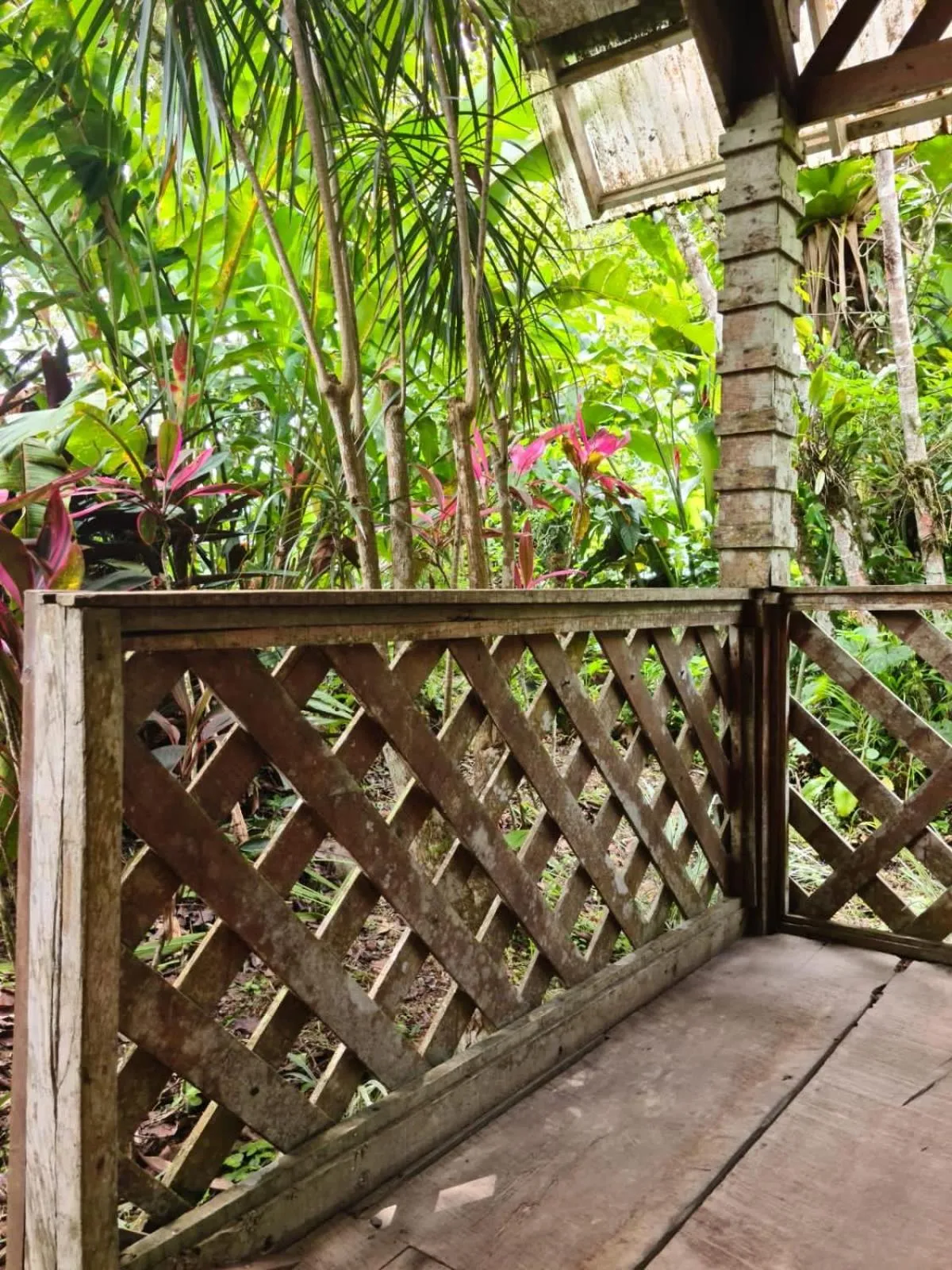 Family Bungalow - single occupancy in Santa Maria Volcano Lodge Hotel & Restaurante