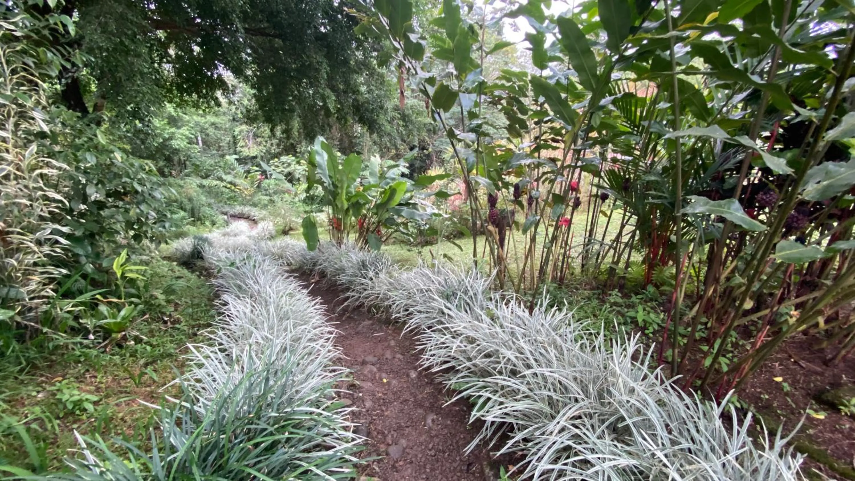 Garden in Santa Maria Volcano Lodge Hotel & Restaurante