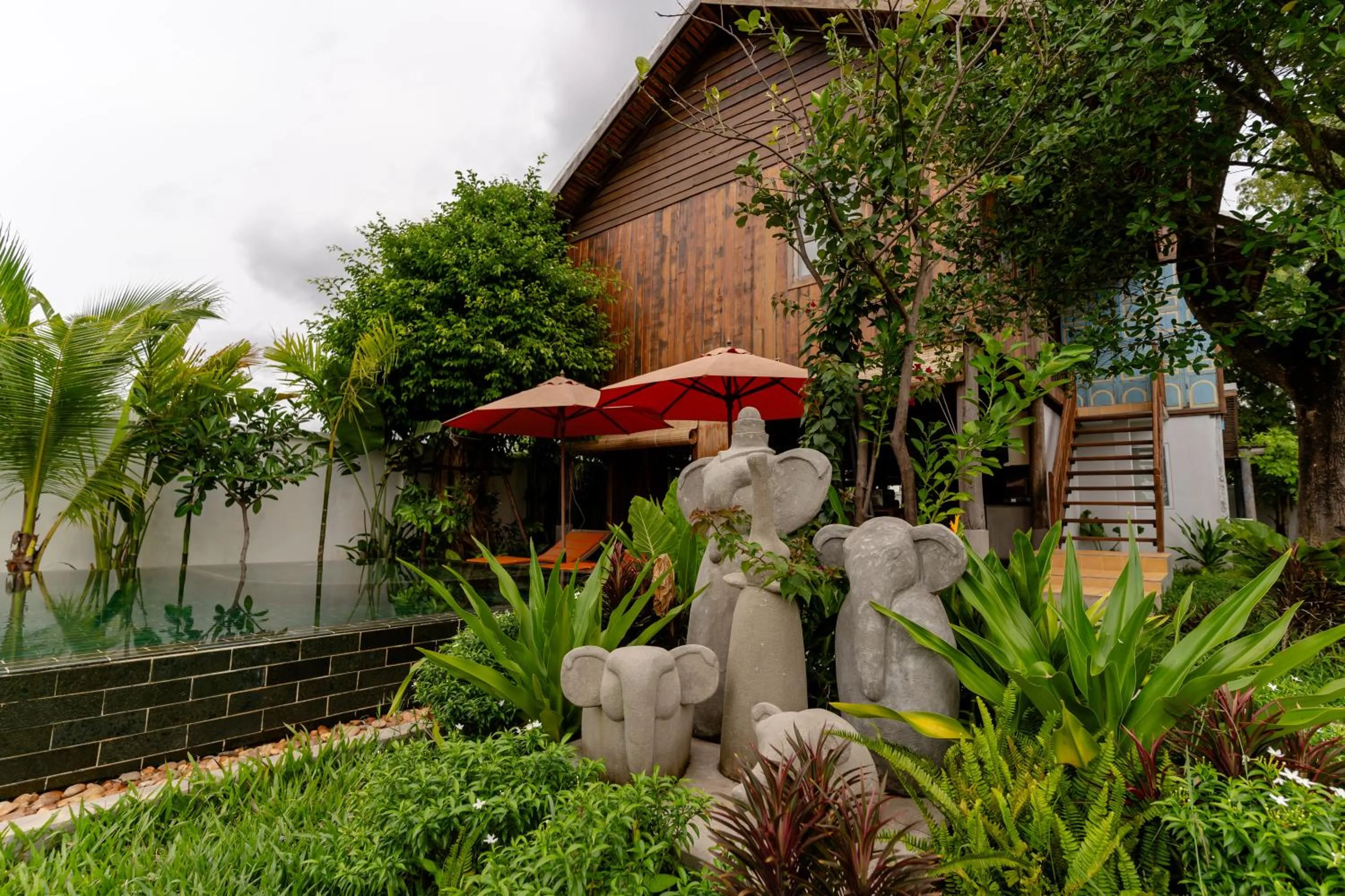 Garden view in Isann Lodge