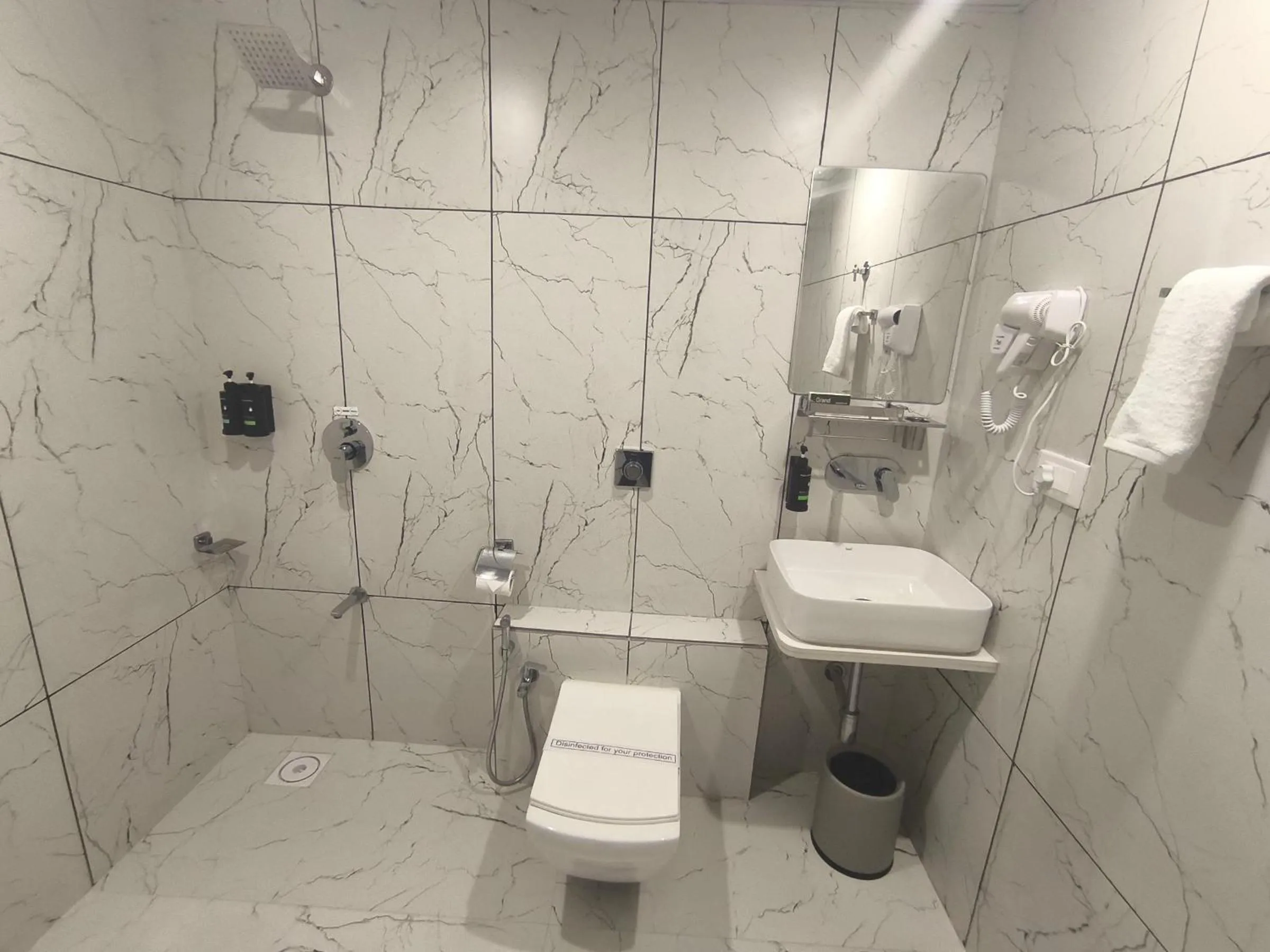 Bathroom in Hotel Grand Arose