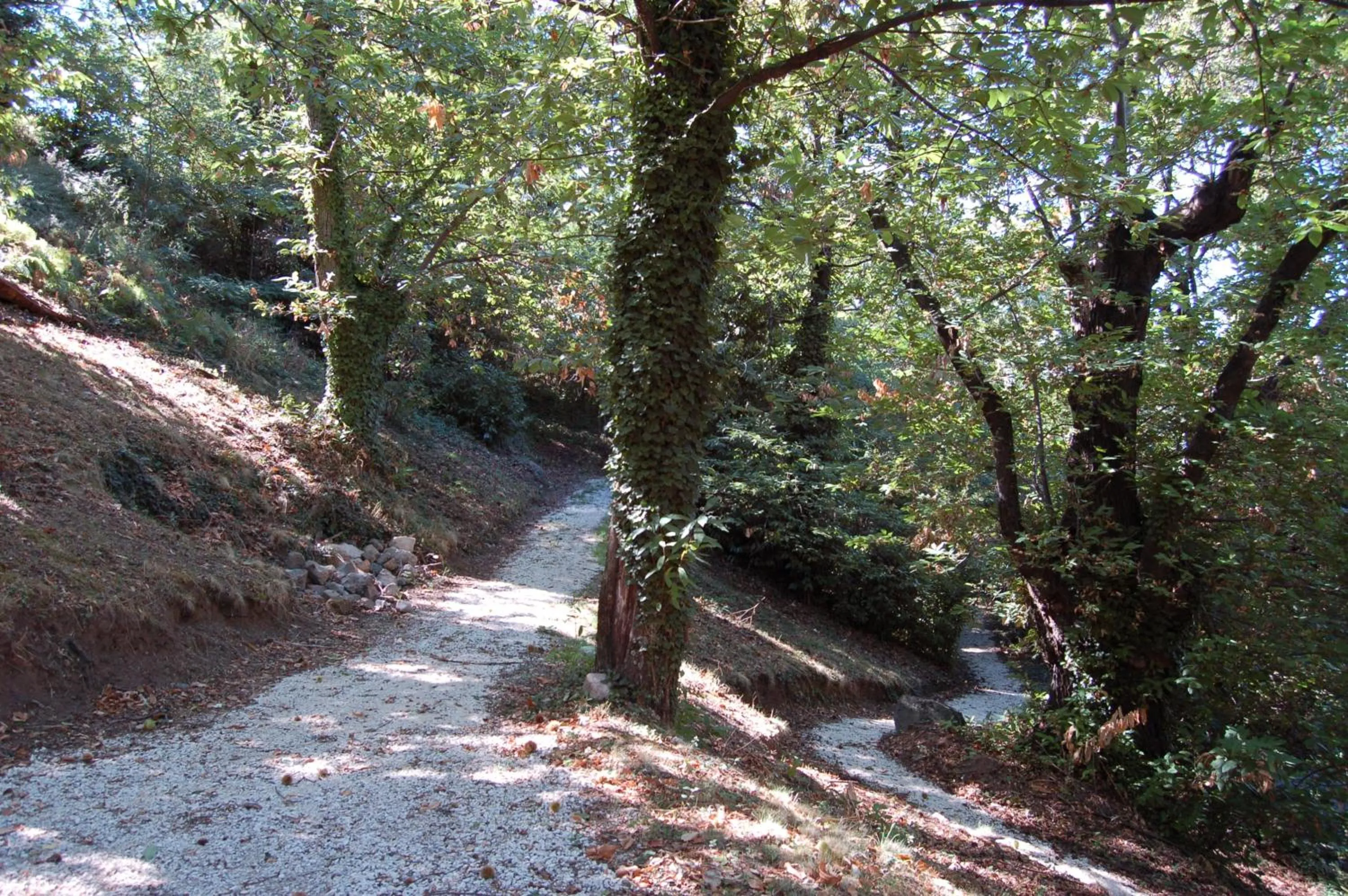 Garden in Balletti Park Hotel