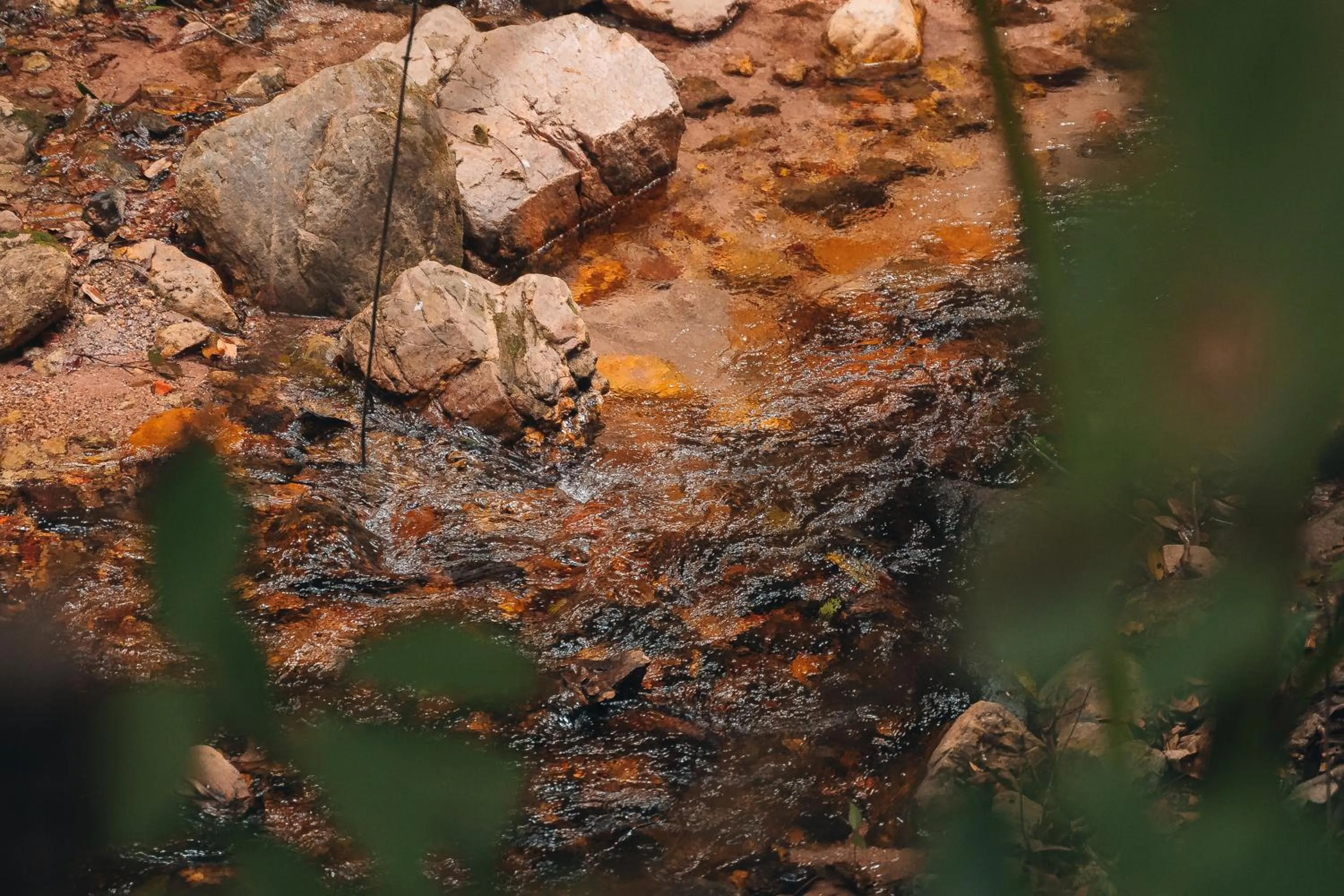 Hostel Chápada Dos Veadeiros