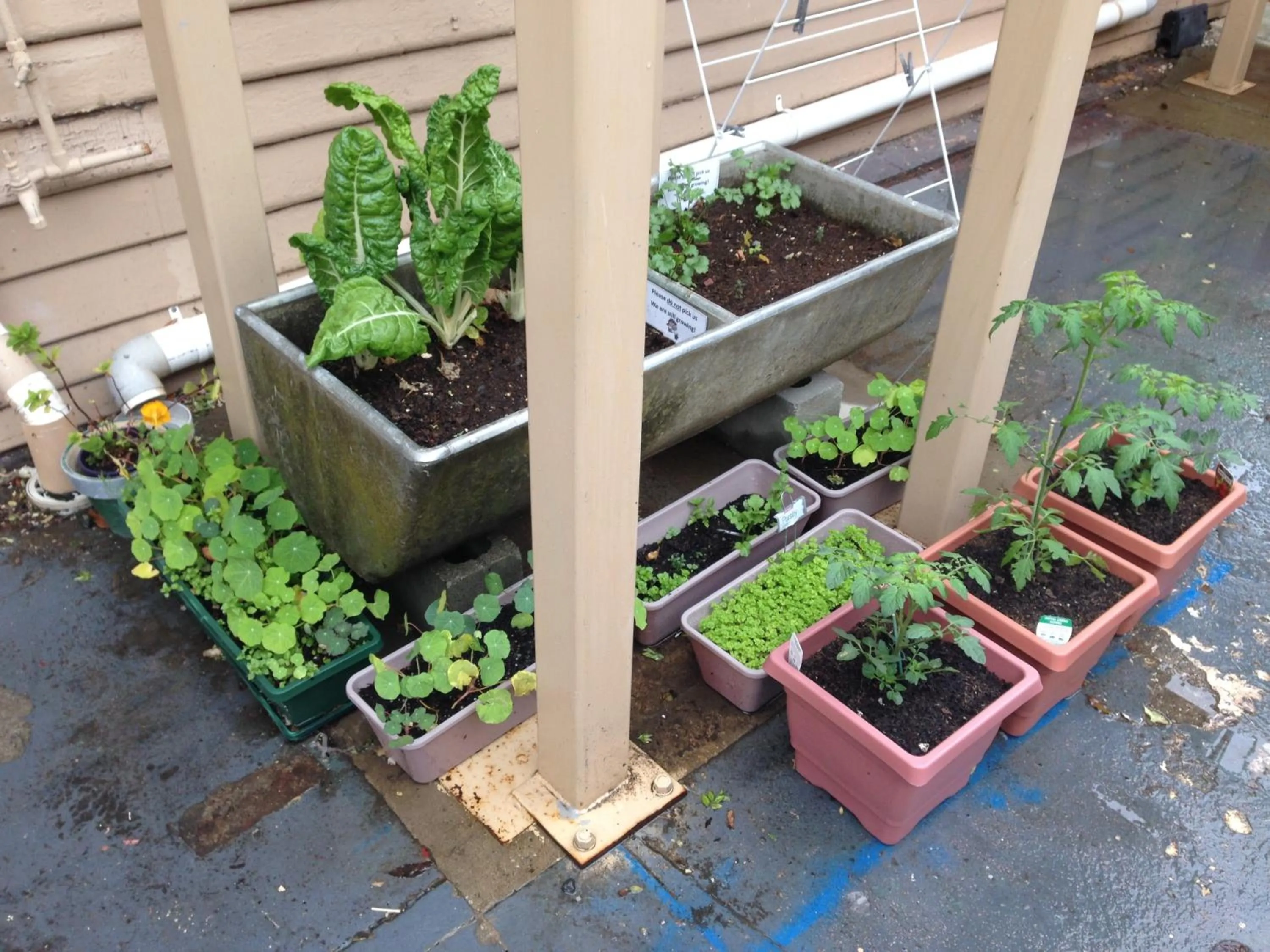 Other in Arthouse Hostel