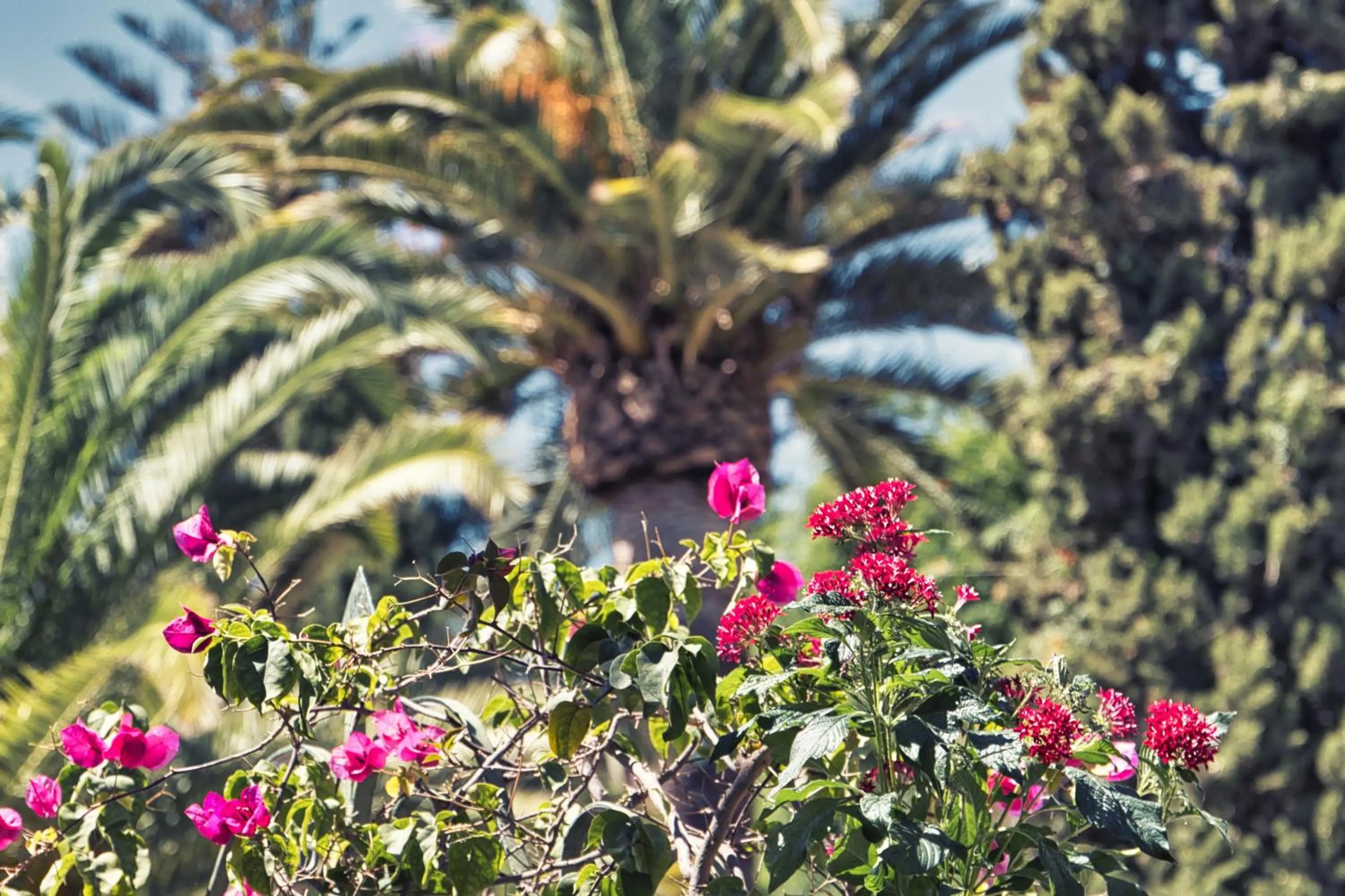 Boutique Hotel Las Islas