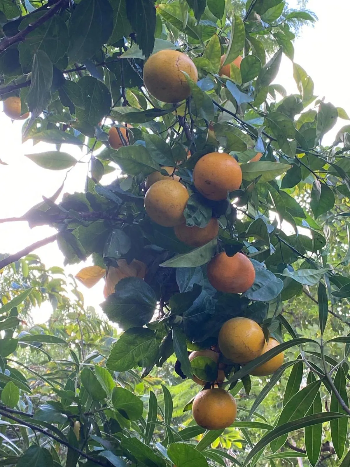 Boutique Hotel Las Islas