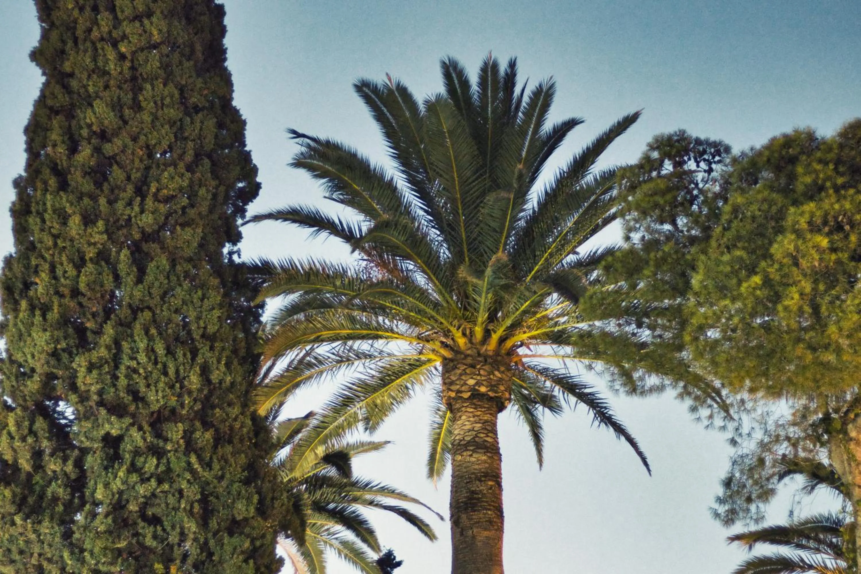 Boutique Hotel Las Islas