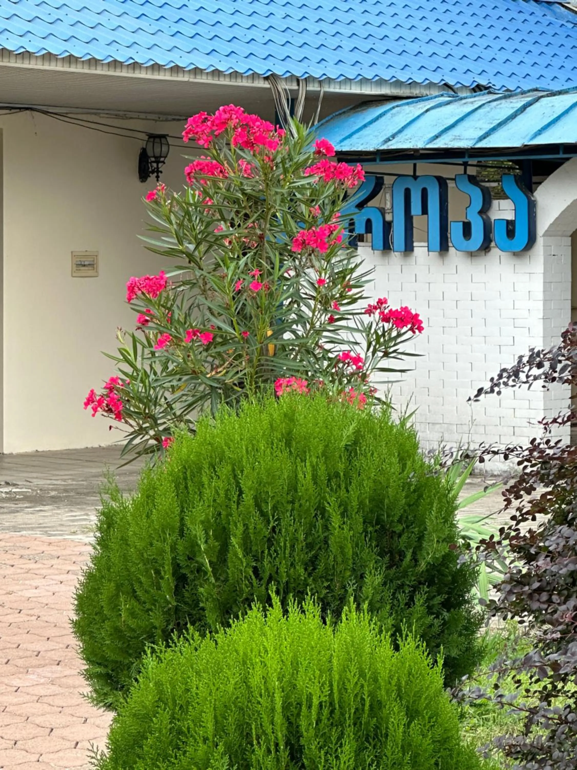 Garden view in Europa Hotel-Kutaisi