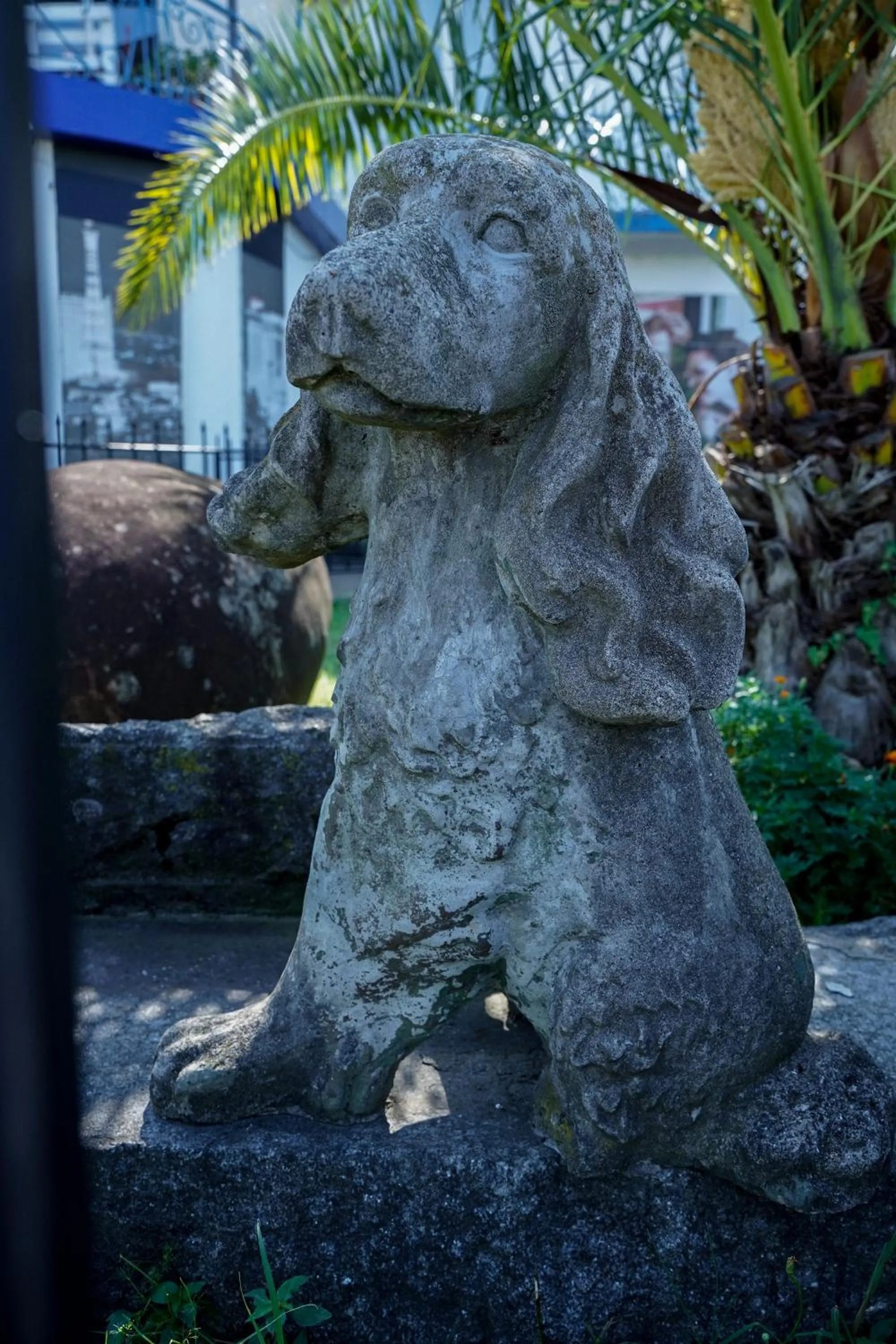 Garden view in Europa Hotel-Kutaisi