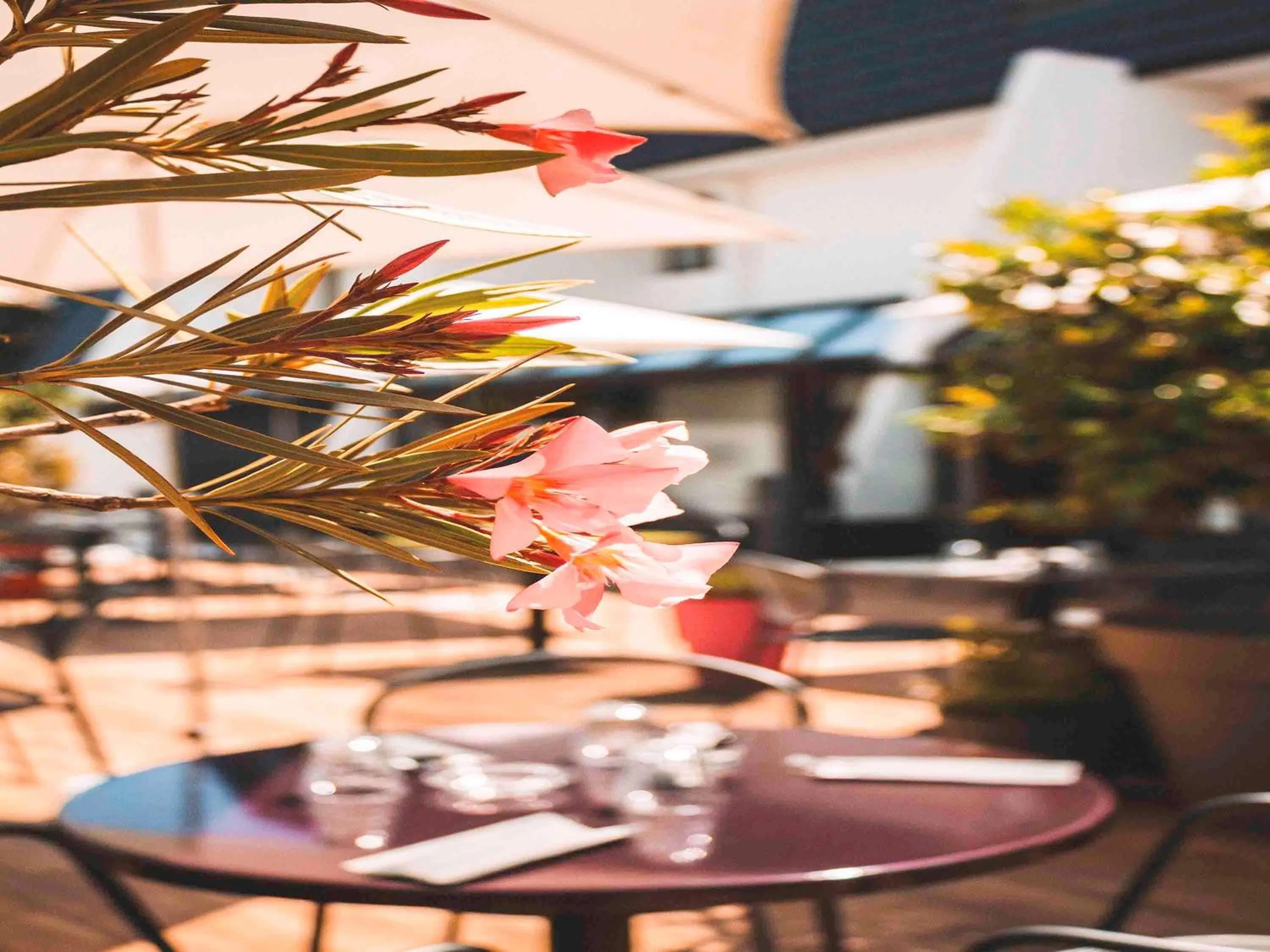 Restaurant/places to eat in Ibis Styles Toulouse Labège