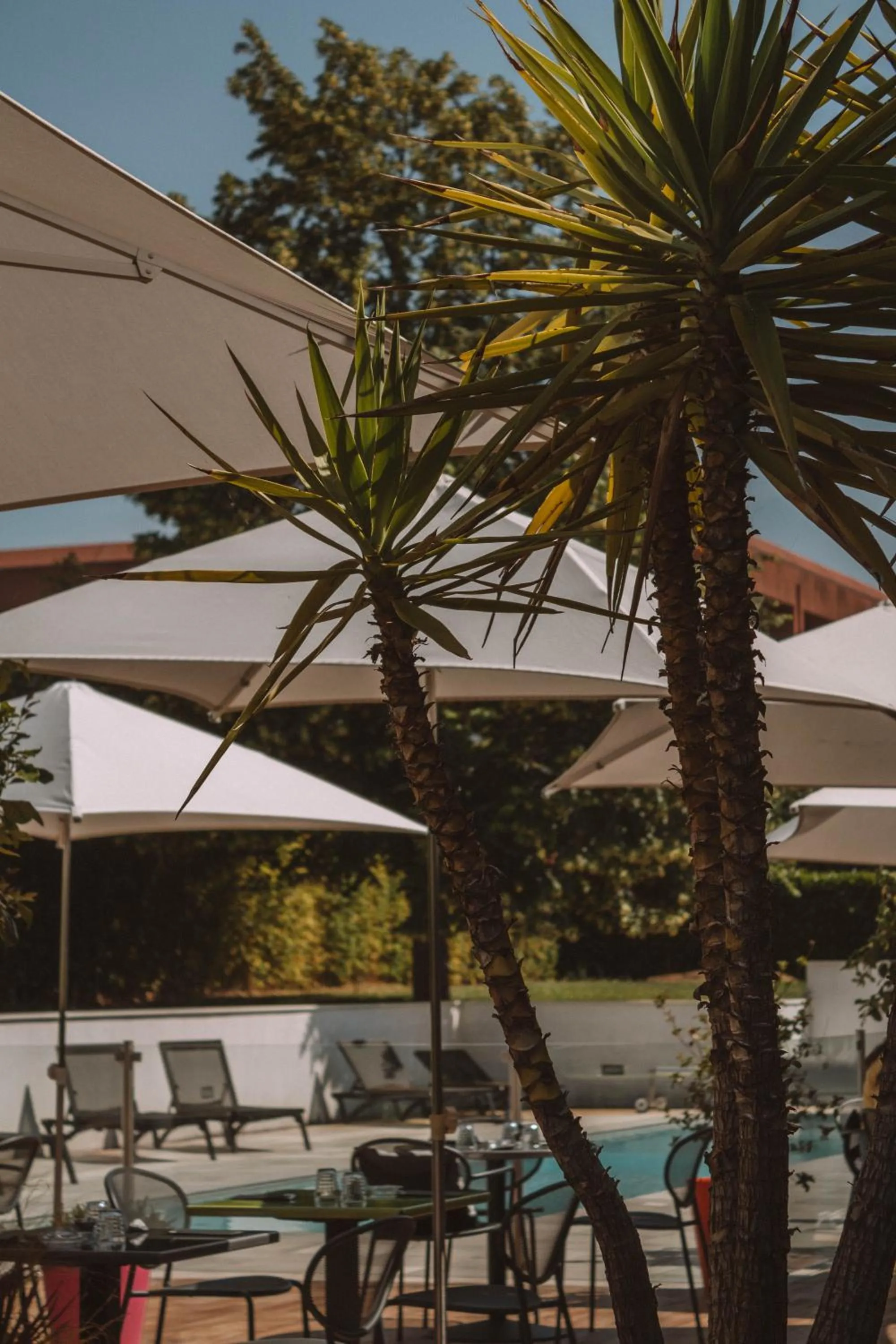 Patio in Ibis Styles Toulouse Labège