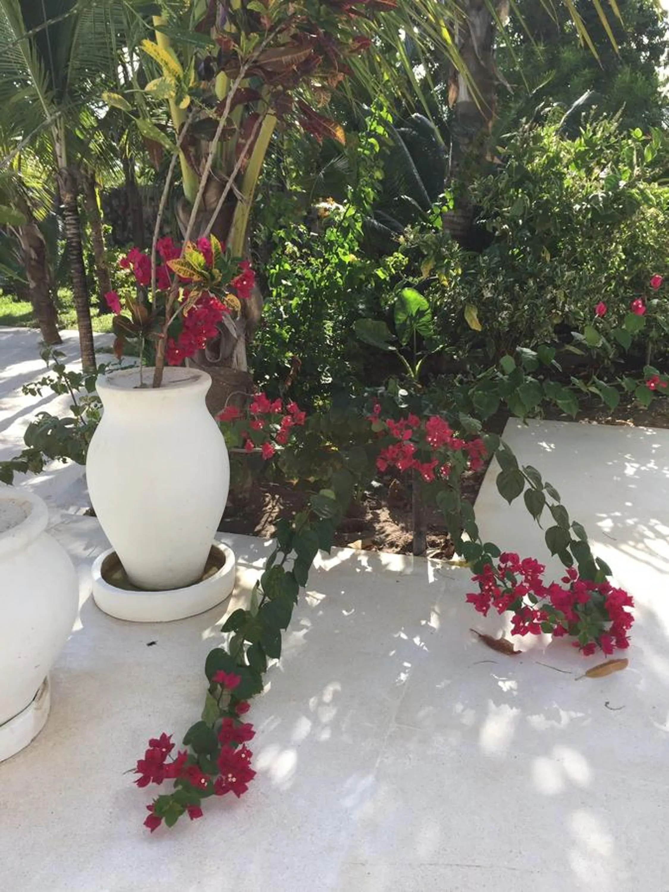 Garden in The Villa Luxury Suites Hotel