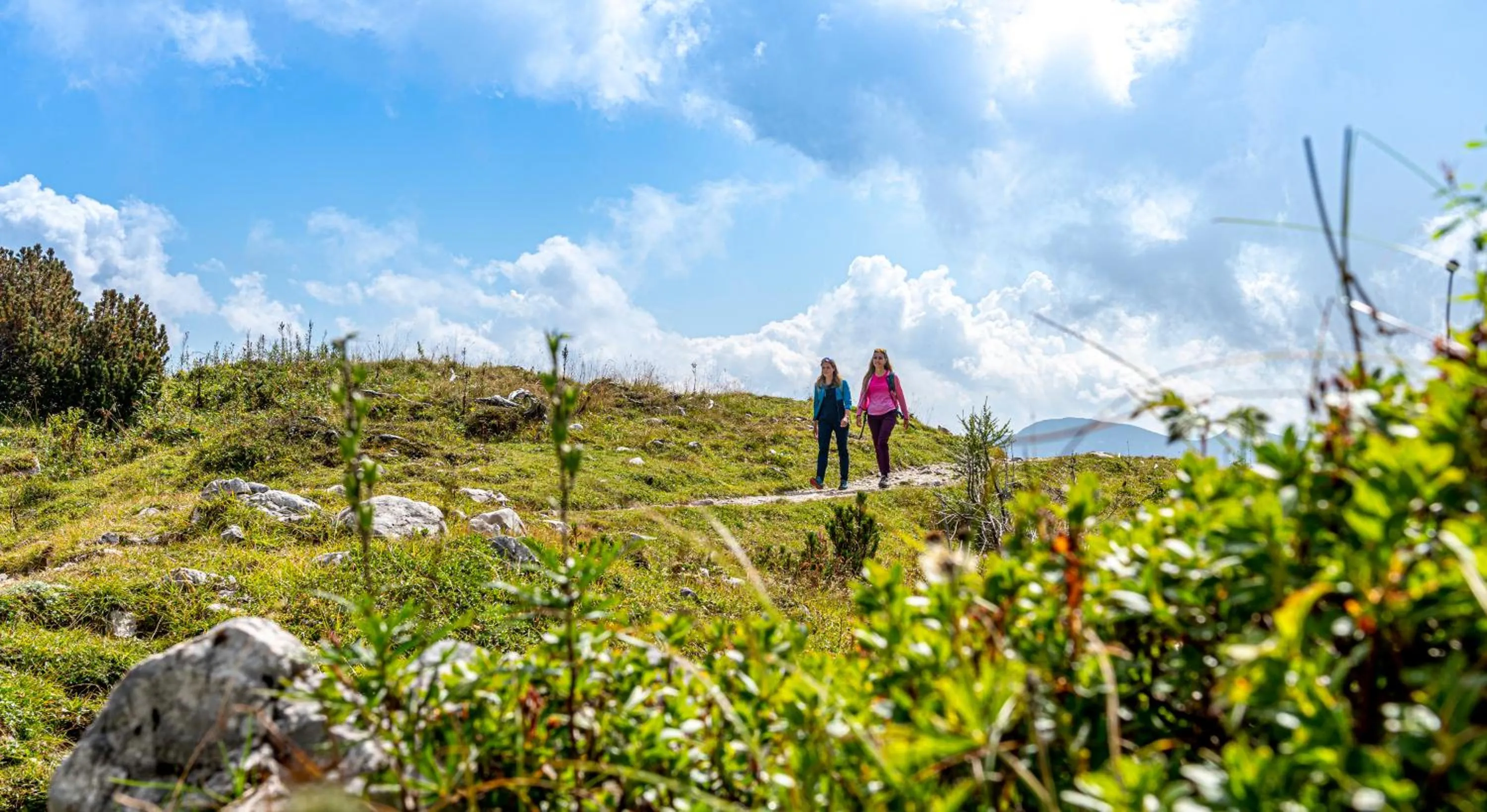 Hiking in Apartmenthotel 's Mitterndorf