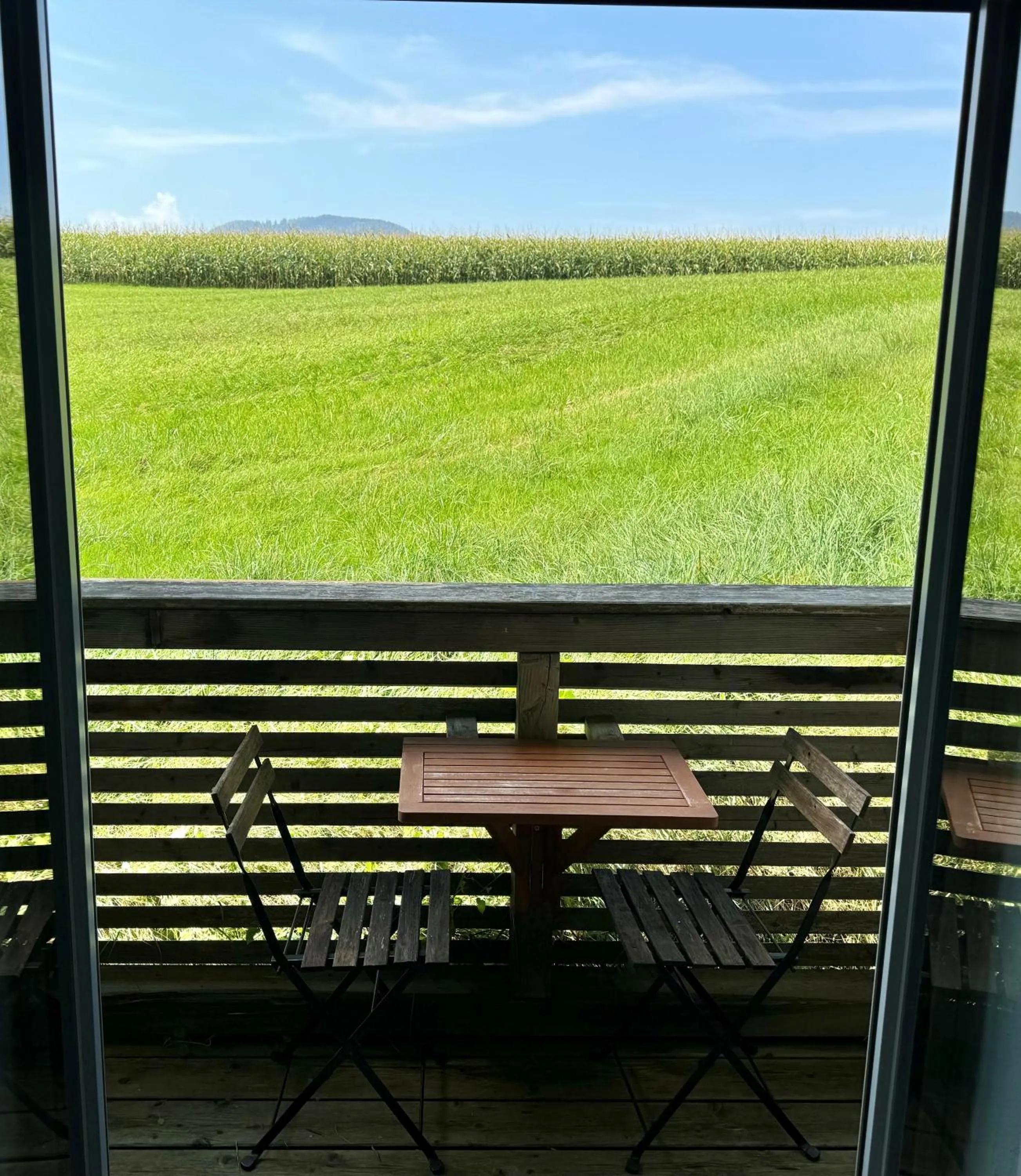 View (from property/room) in Apartmenthotel 's Mitterndorf