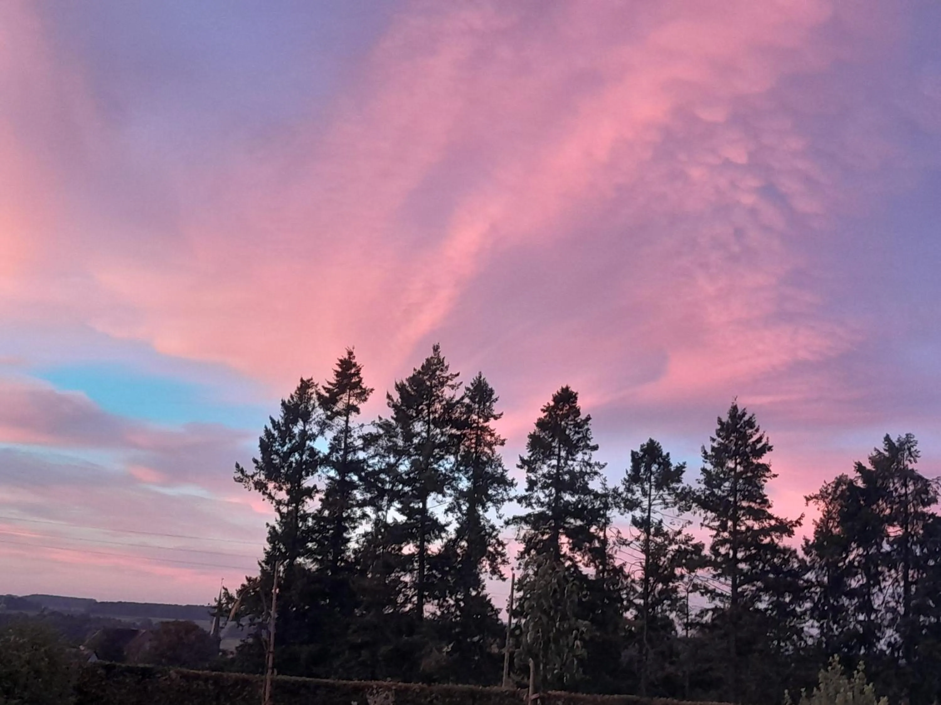 Chambre d'hôtes Les Bruyères