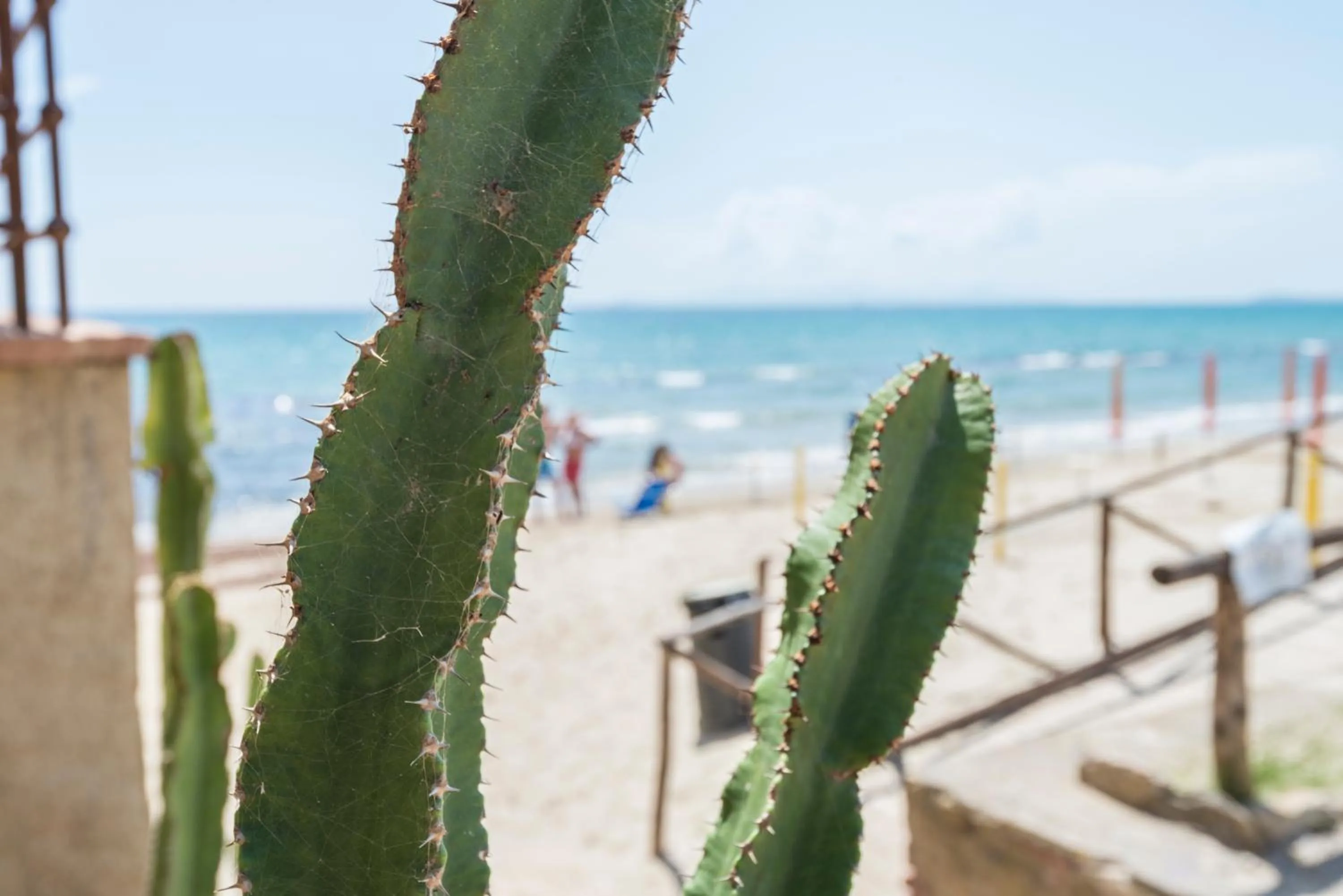 Property building in Torre Mozza - Dimora d' Epoca