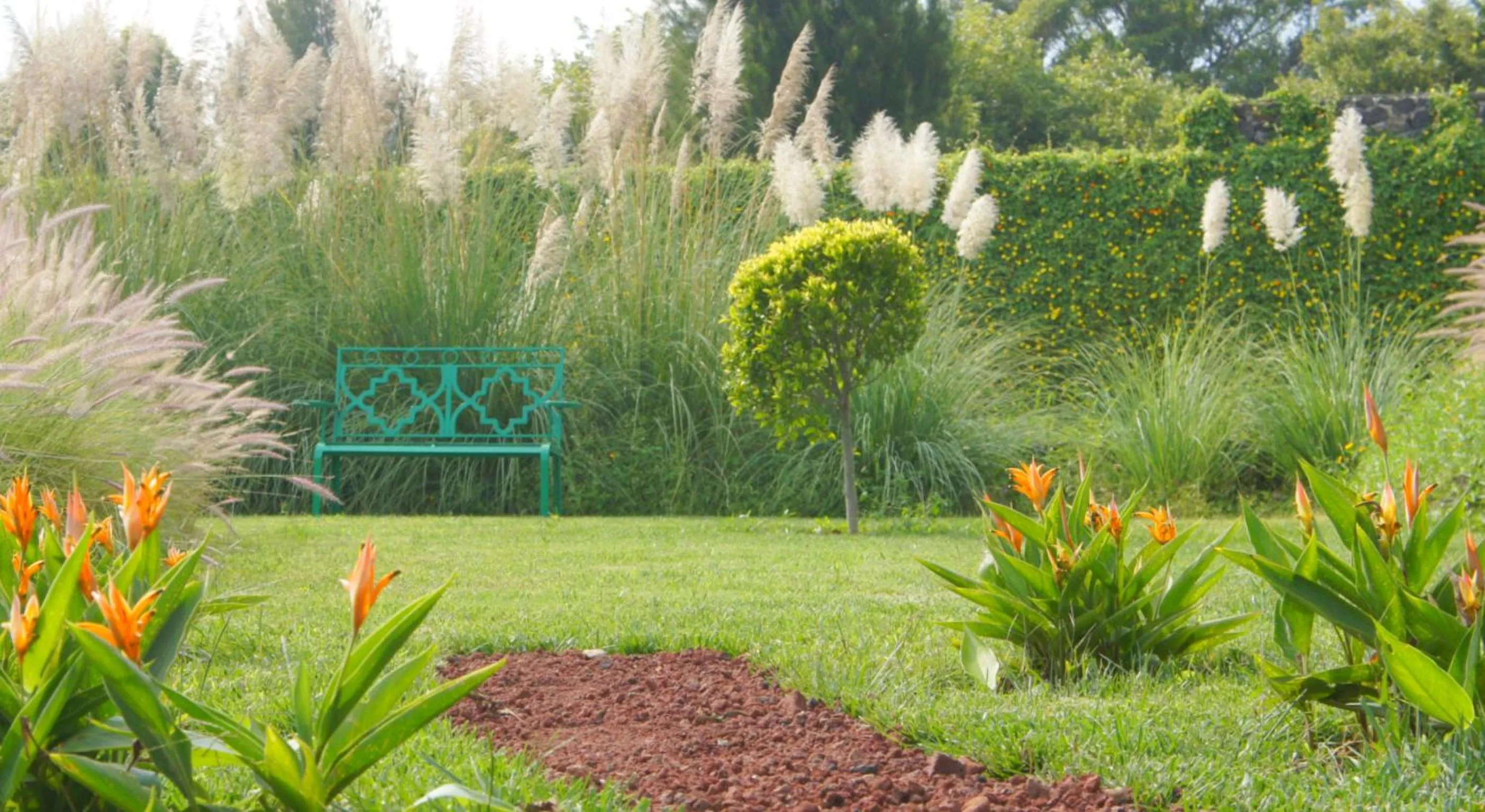 Garden in Quinta GYO