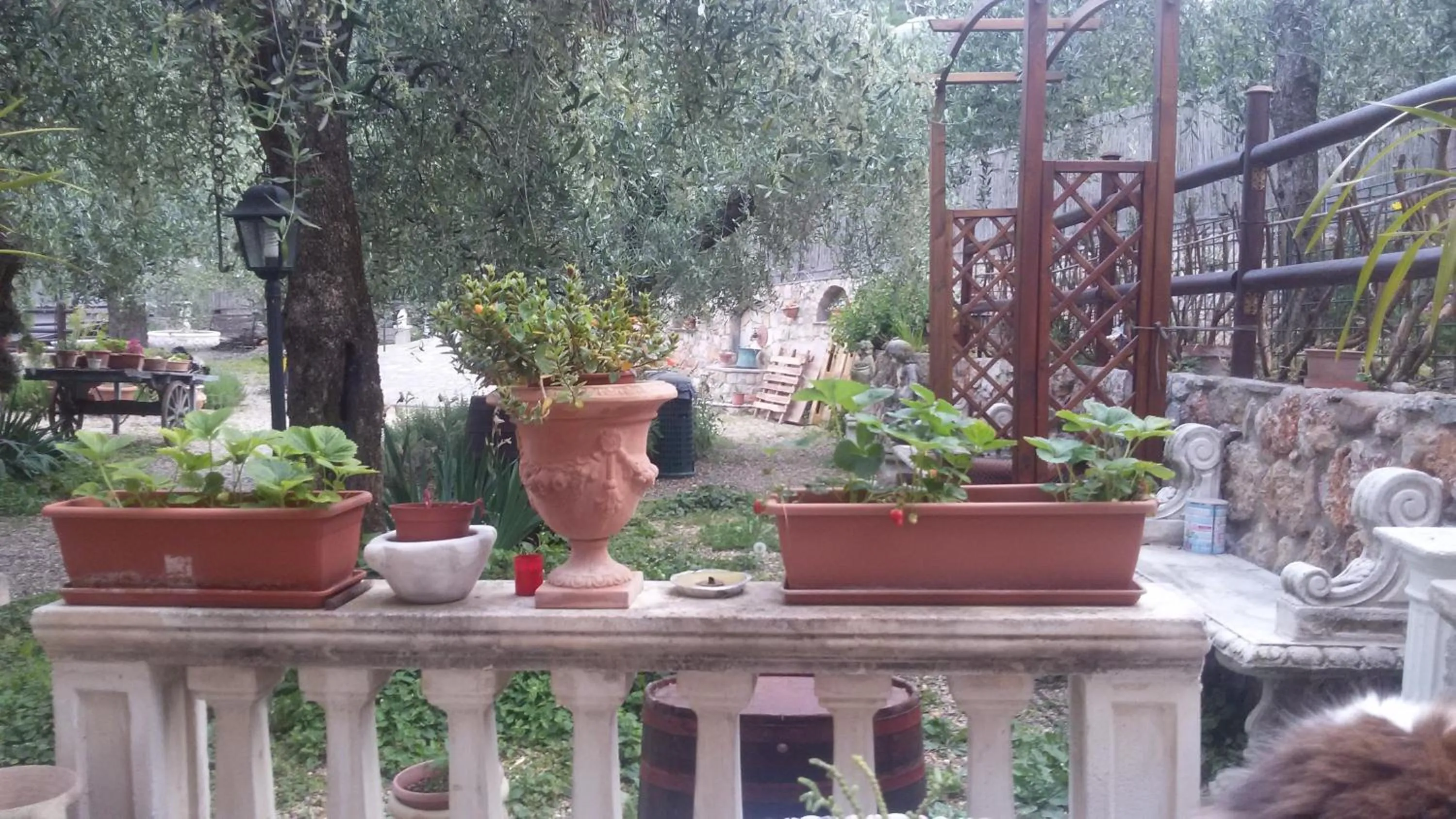 Day in Locanda Dei Boi