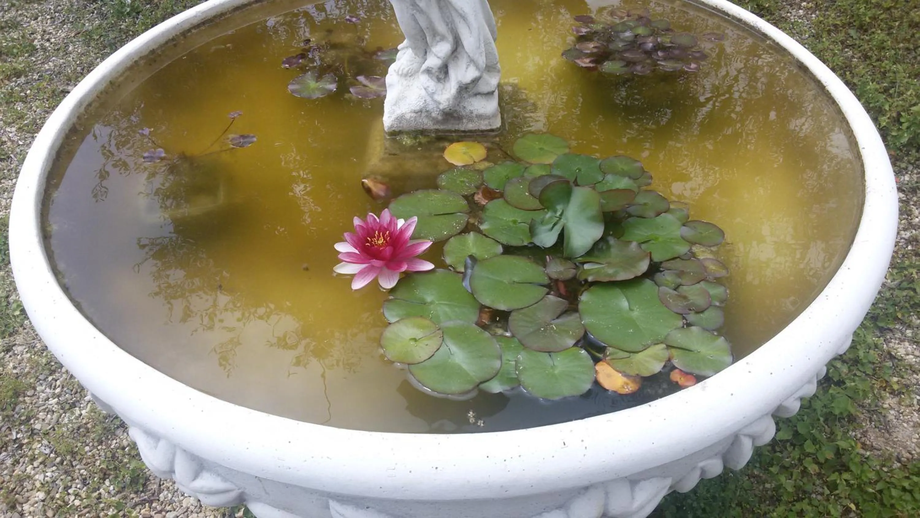 Garden in Locanda Dei Boi