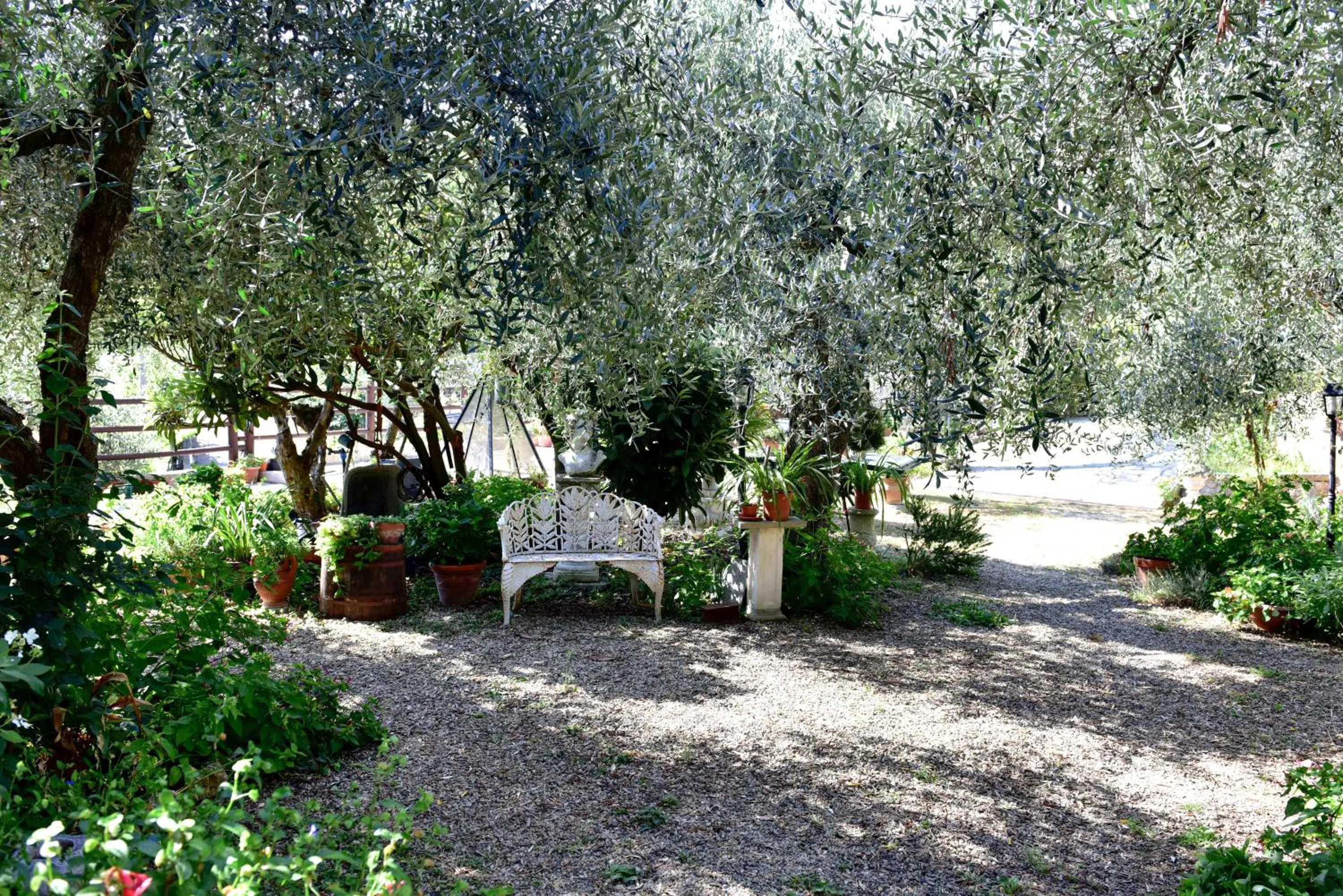 Garden in Locanda Dei Boi