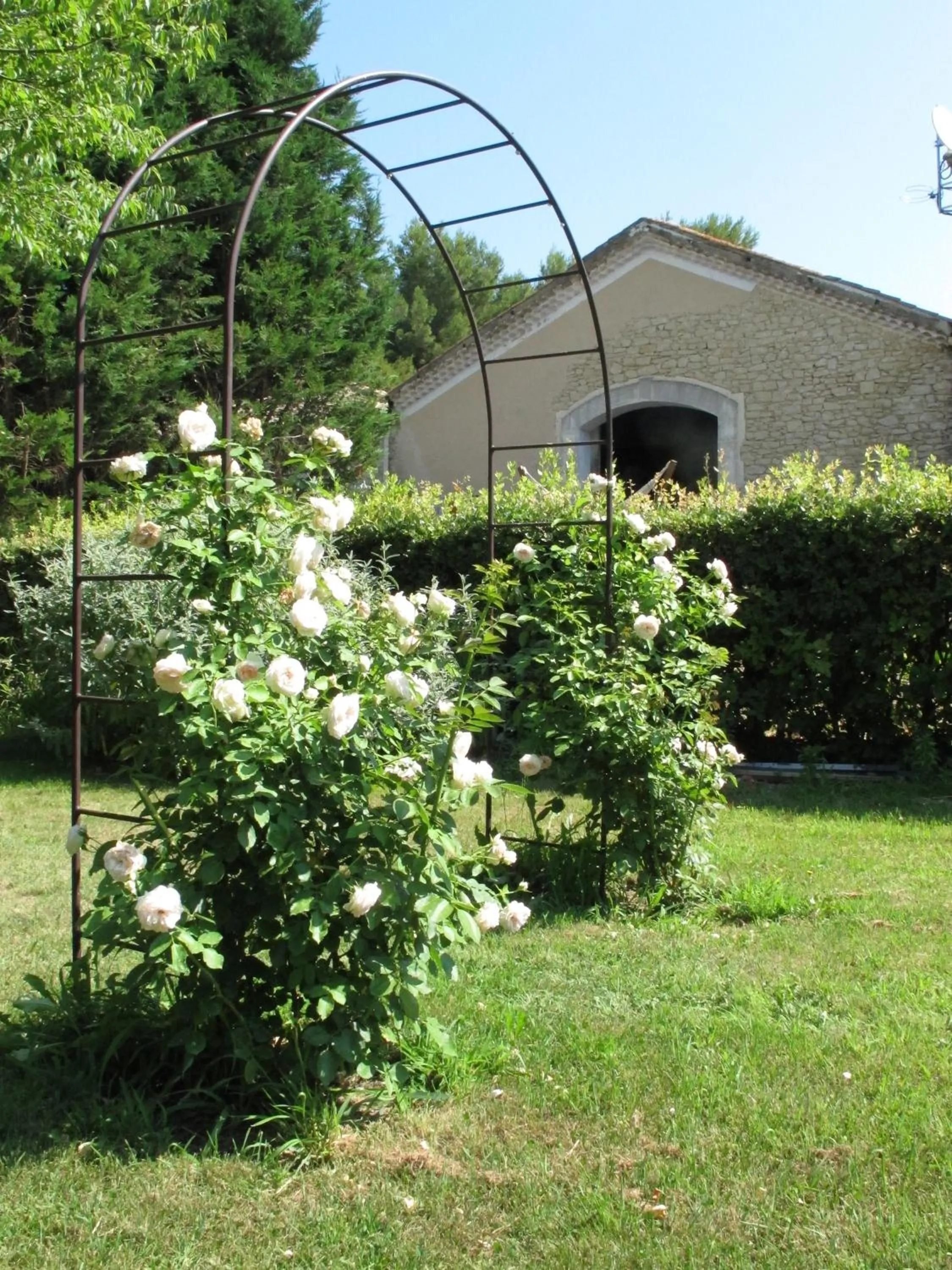 Garden in La Cour Des Sens