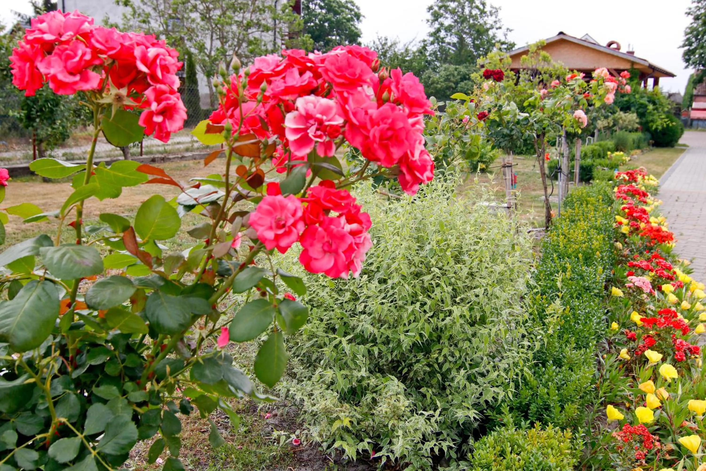 Garden in Pod Kasztanem