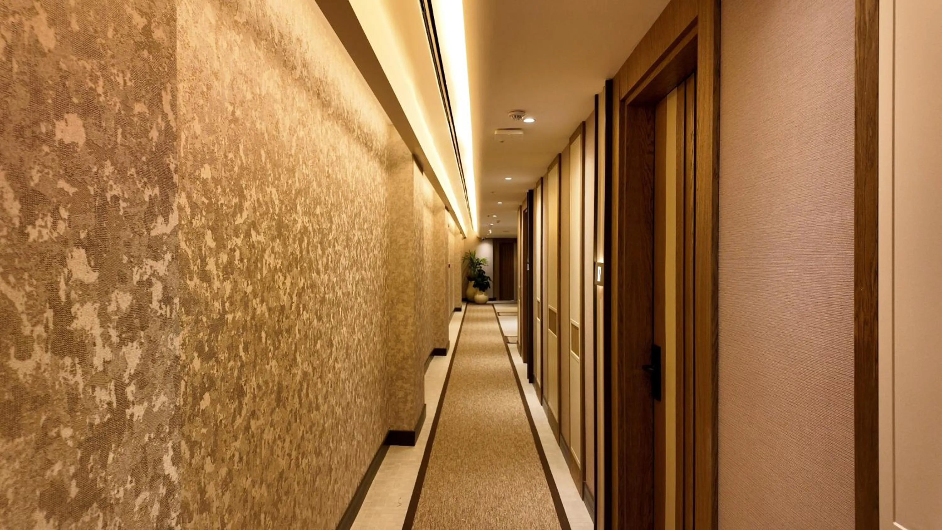 Property building in Rempart Hotel