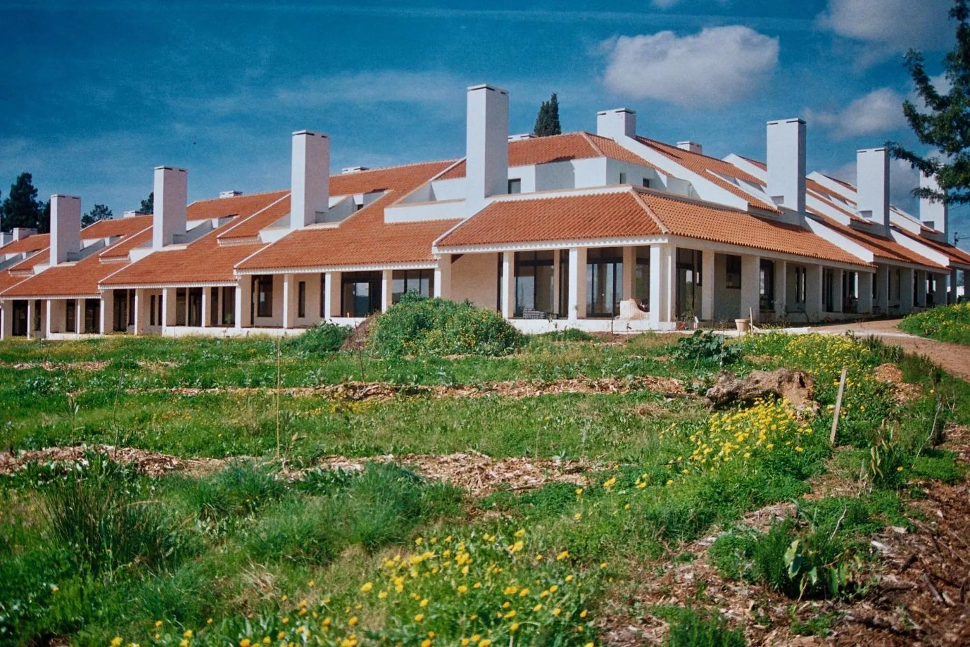 Property building in Calipo